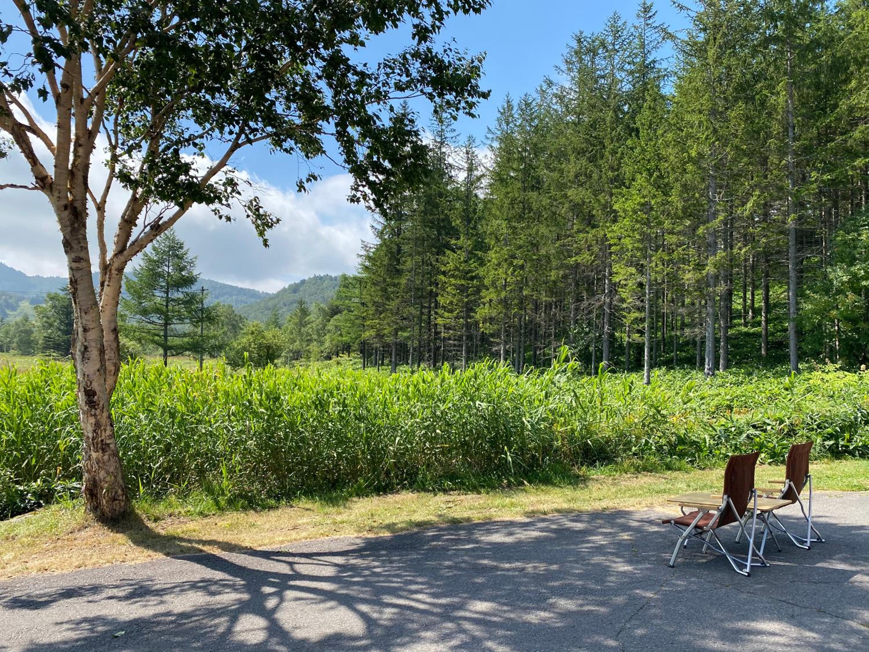 Sachinoyu Hotel Shiga Kogen view 4