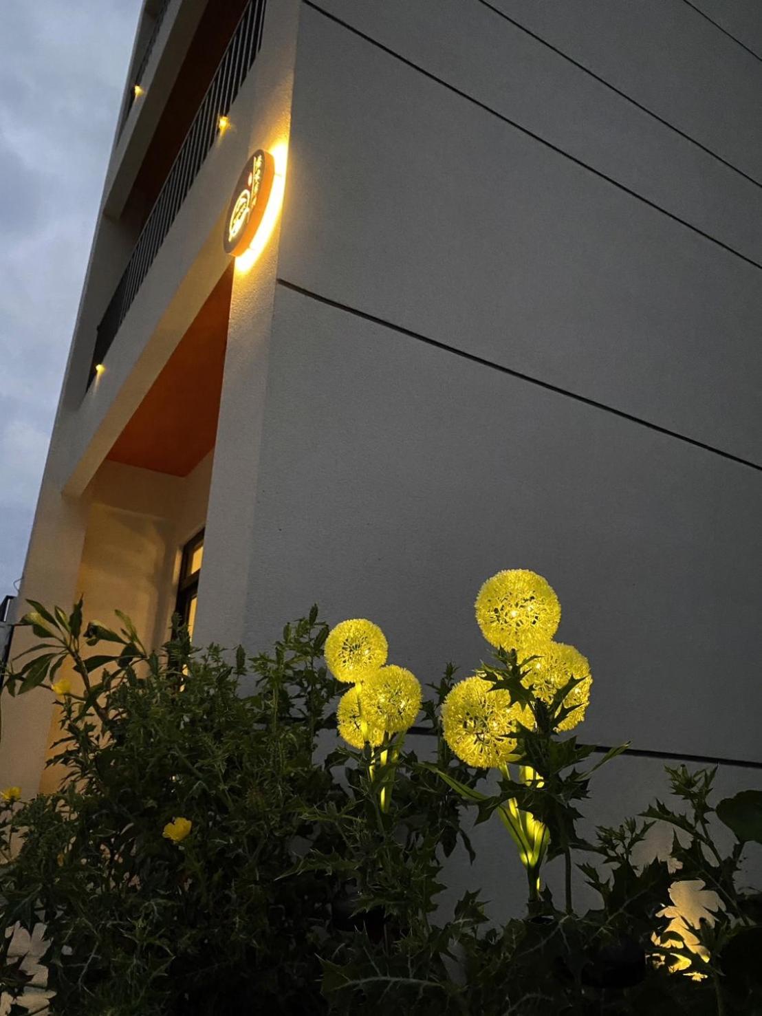 Photo 42