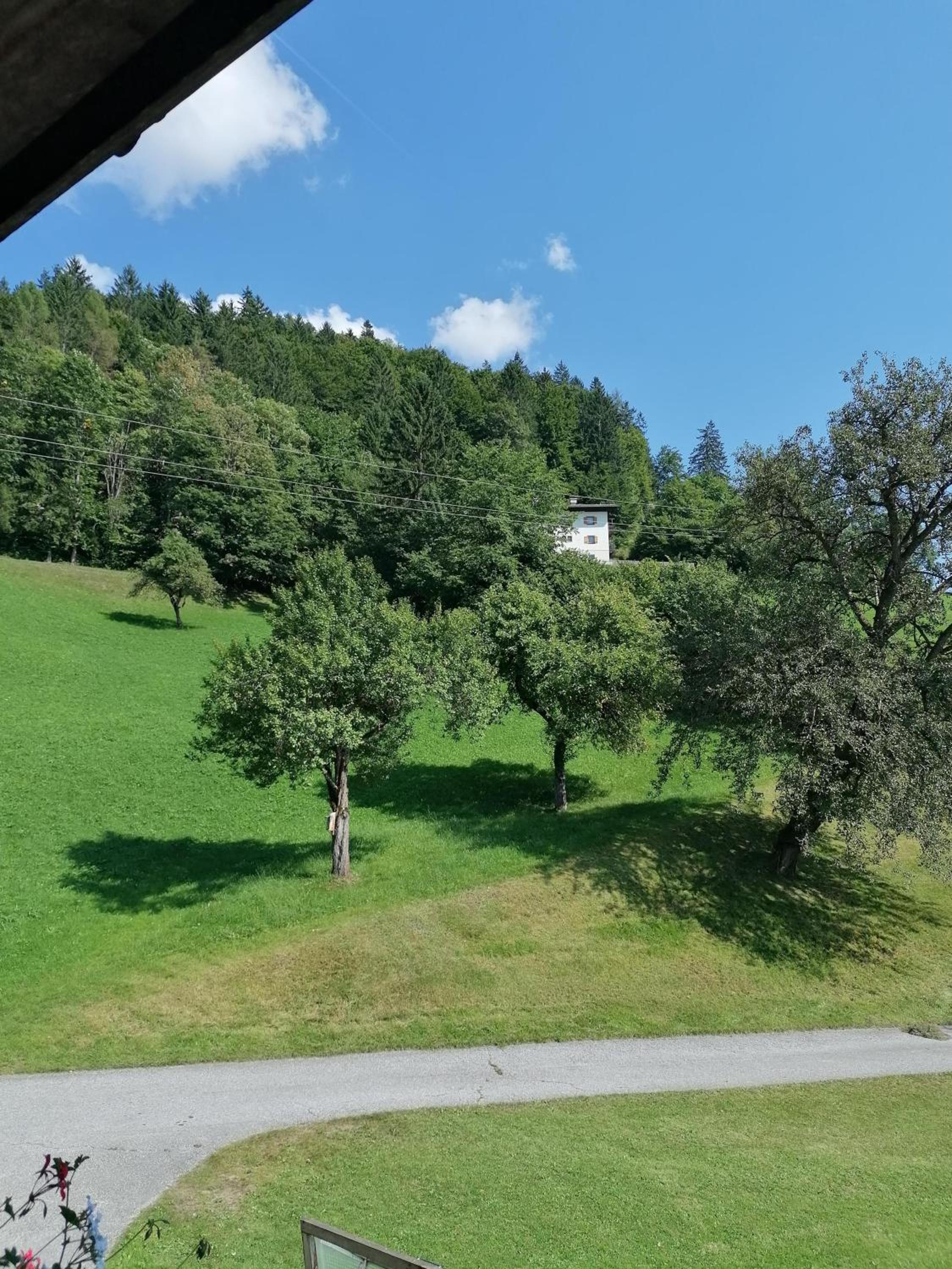 Riedhof