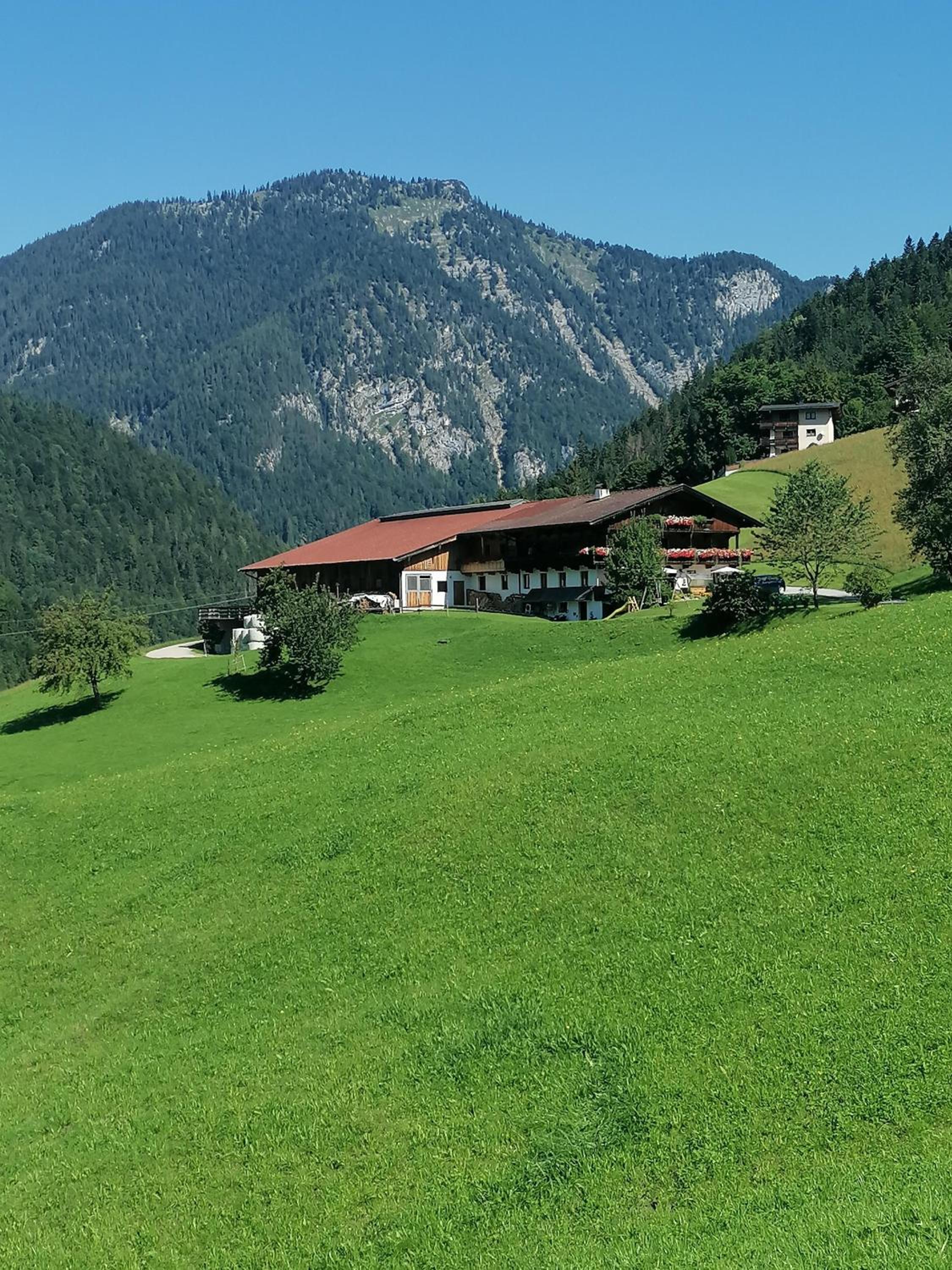 Riedhof