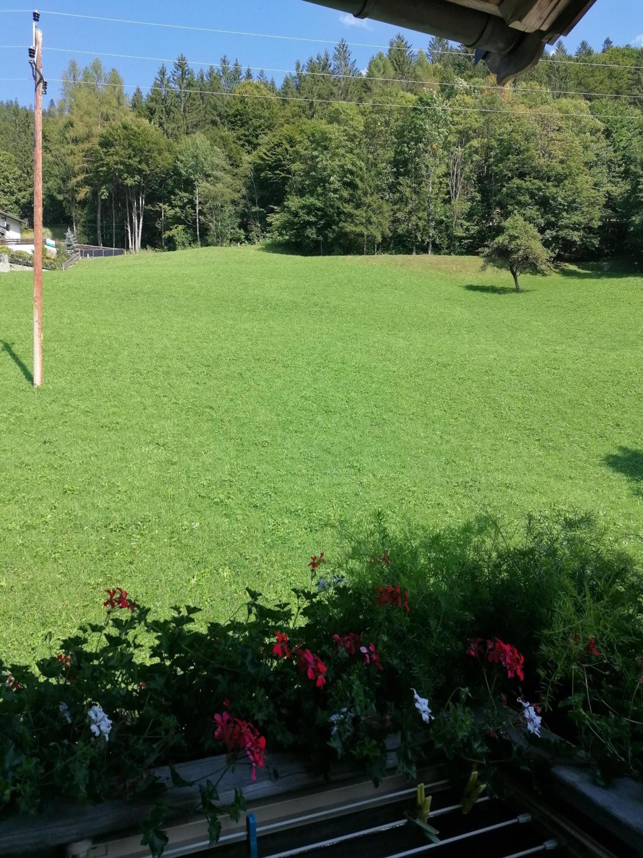 Riedhof