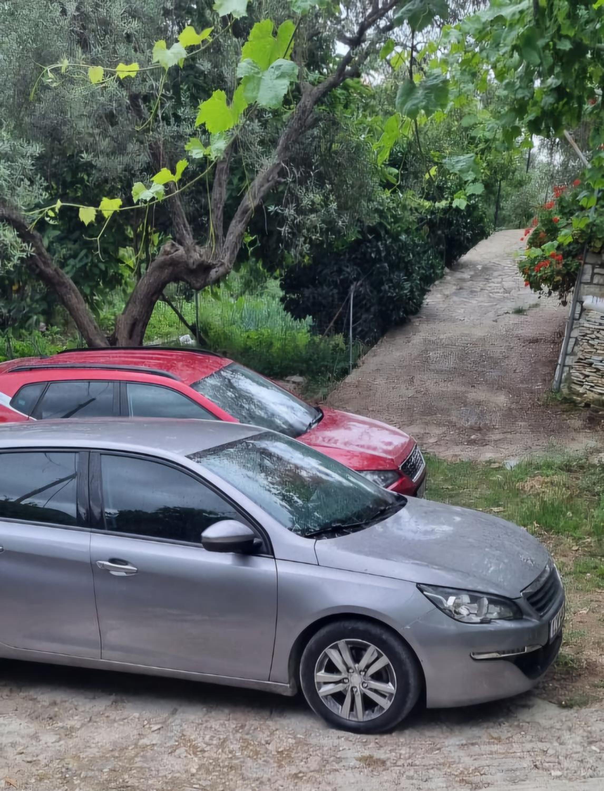 Klejdi's house