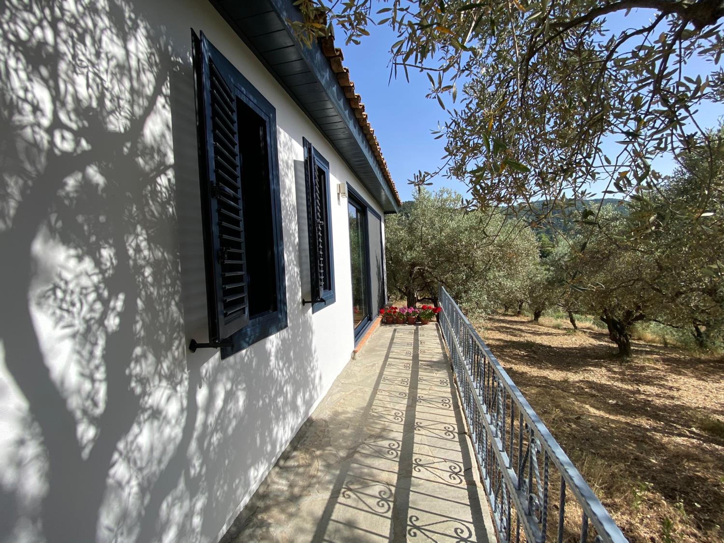 Lamin House