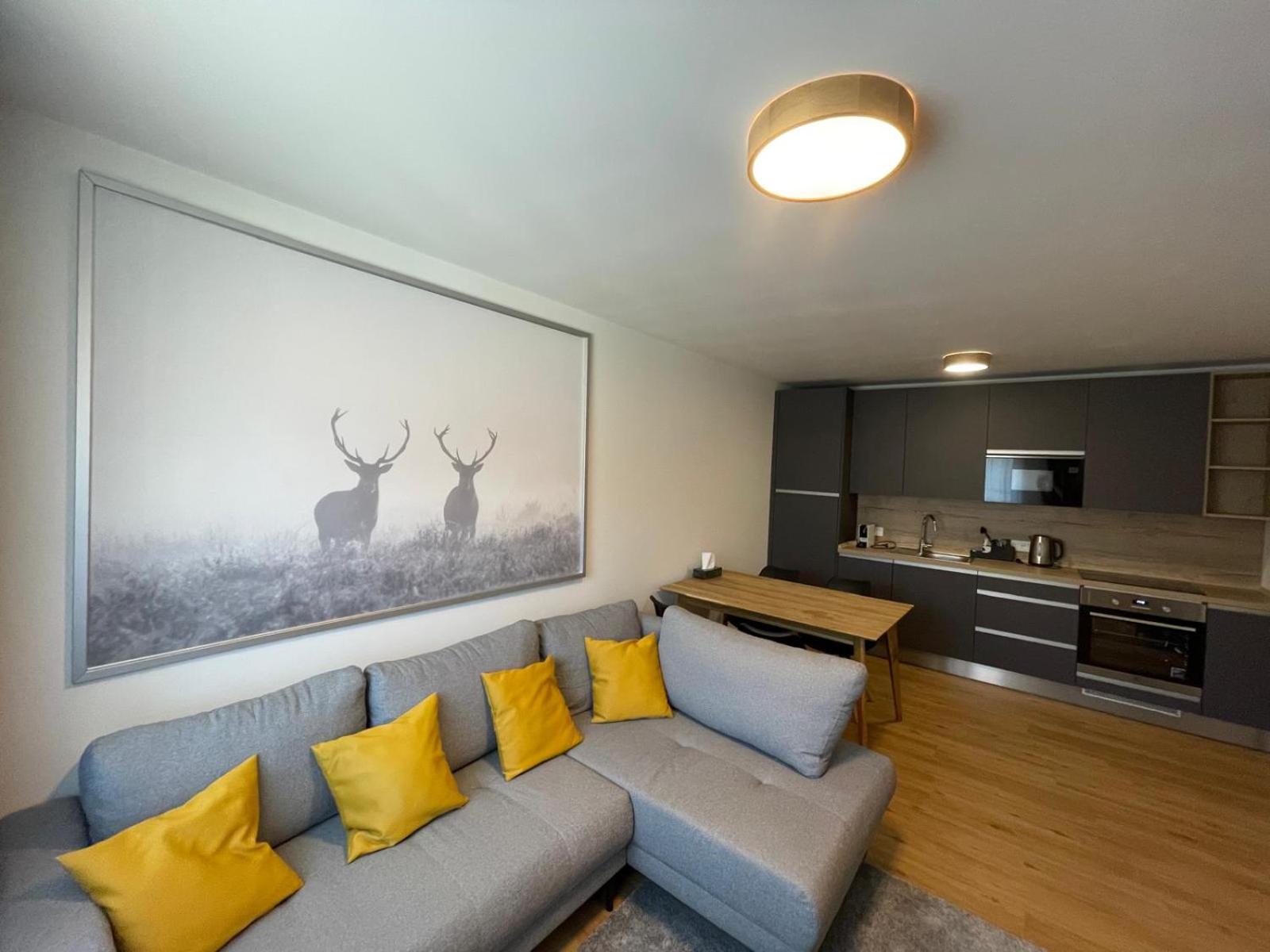 Apartmány Javorná