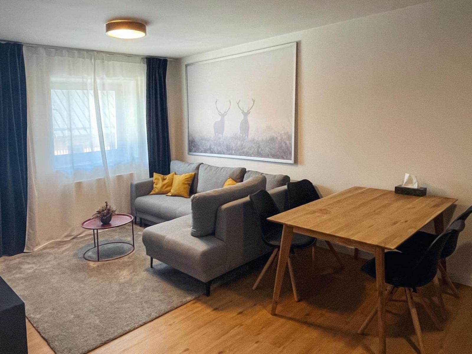 Apartmány Javorná
