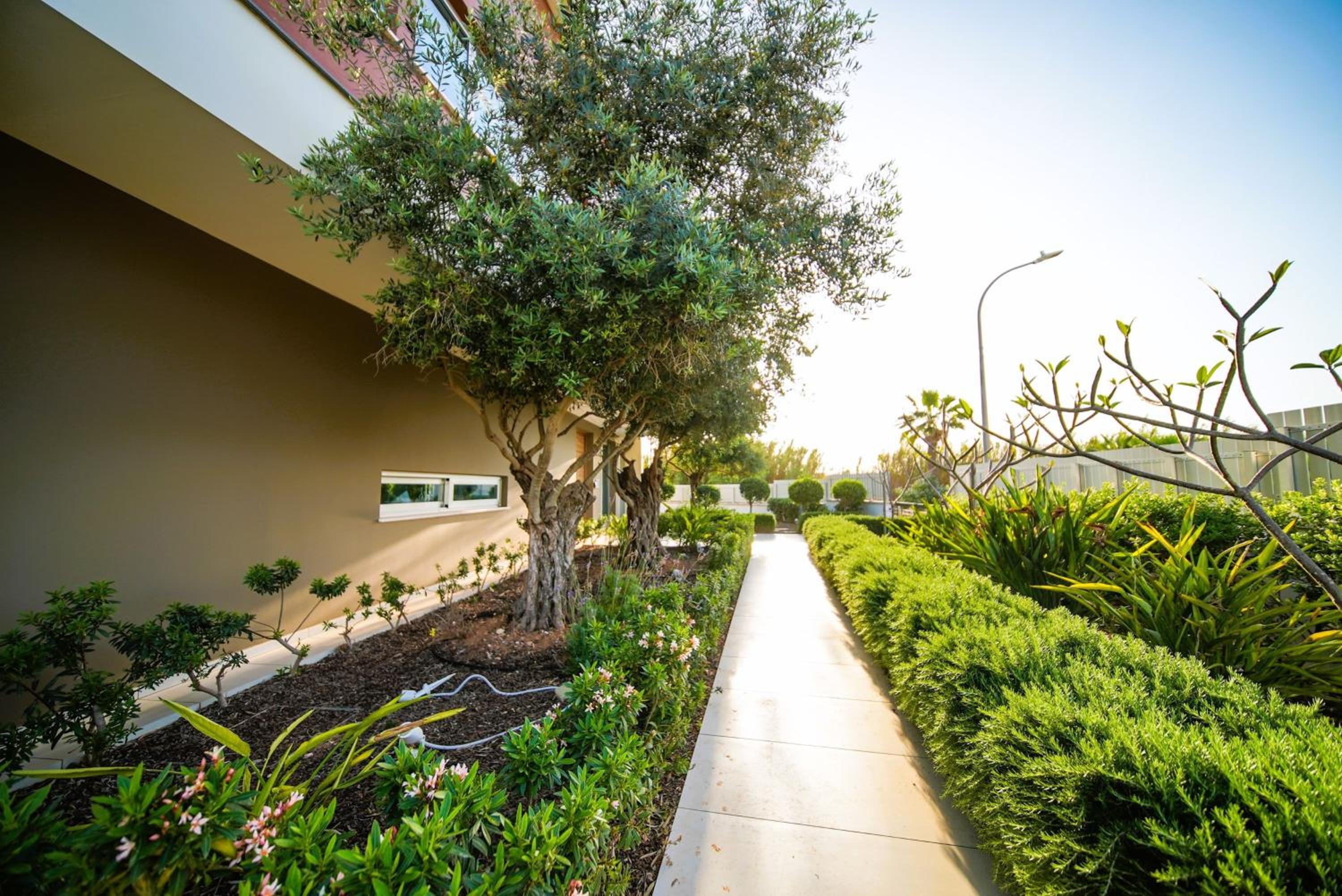 Royal Oasis Villa