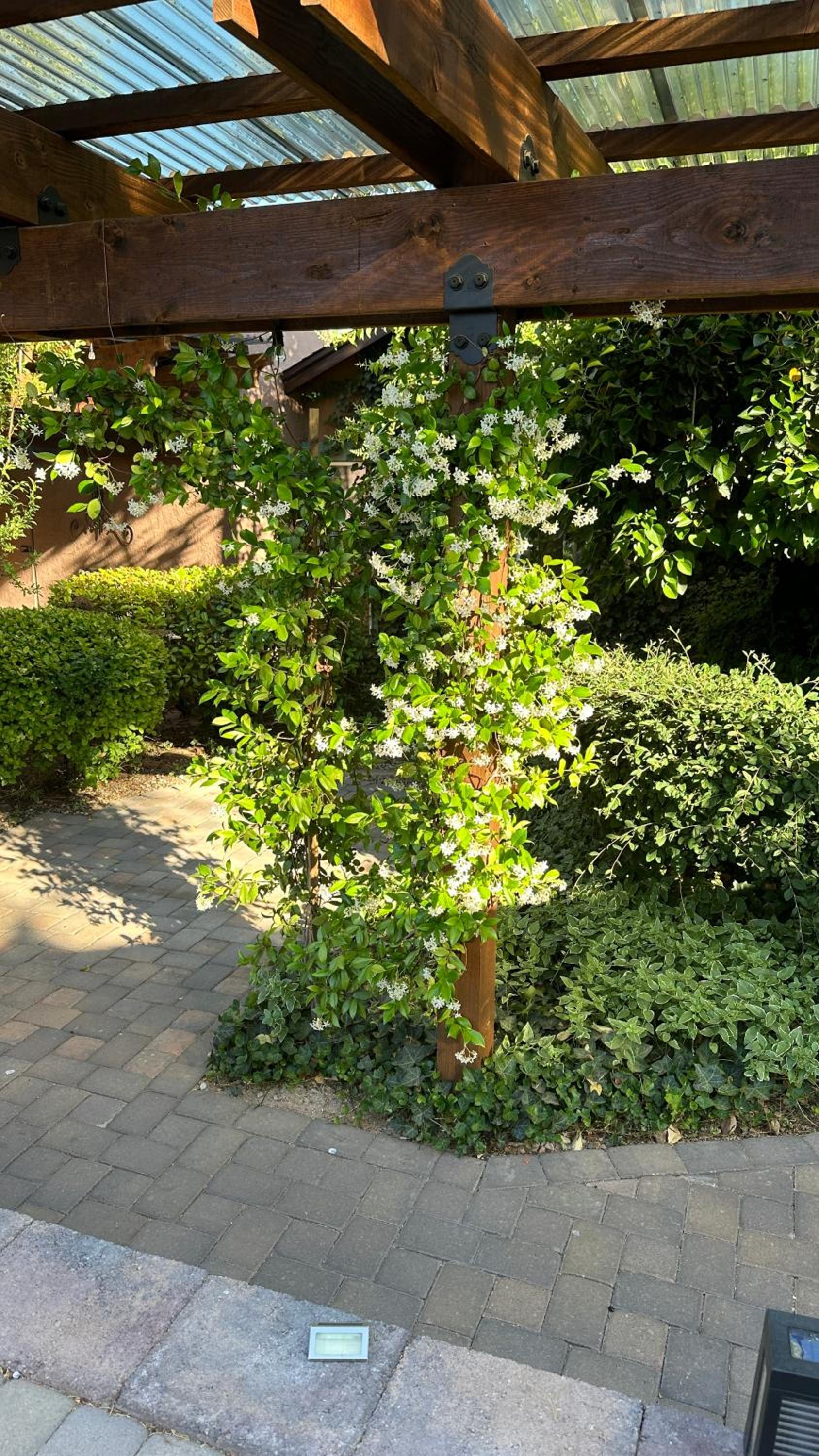 Sedona Vacations - Lantern Light Inn - Romantic Getaway - Property Image 18