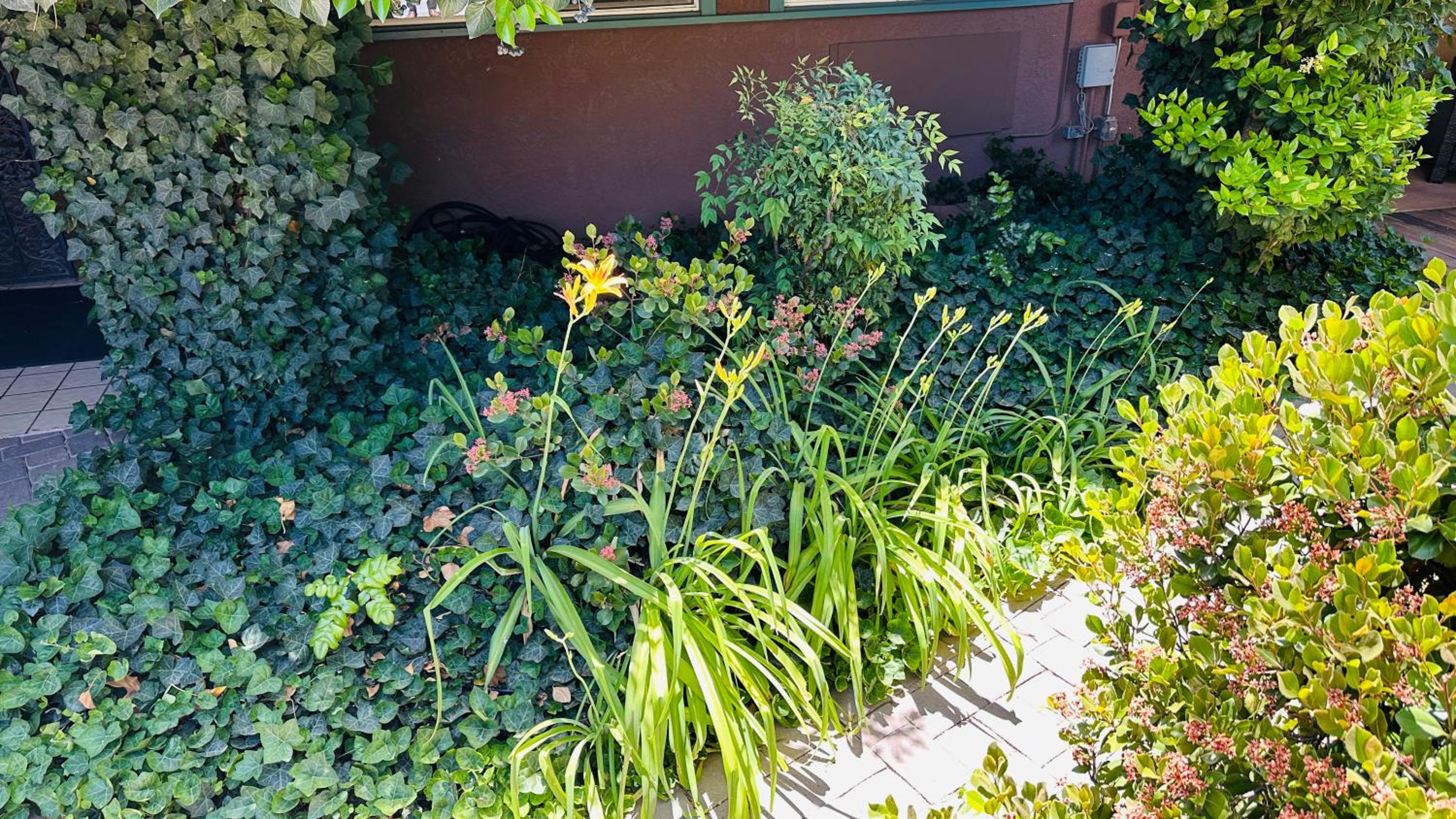 Sedona Vacations - Lantern Light Inn - Romantic Getaway - Property Image 58