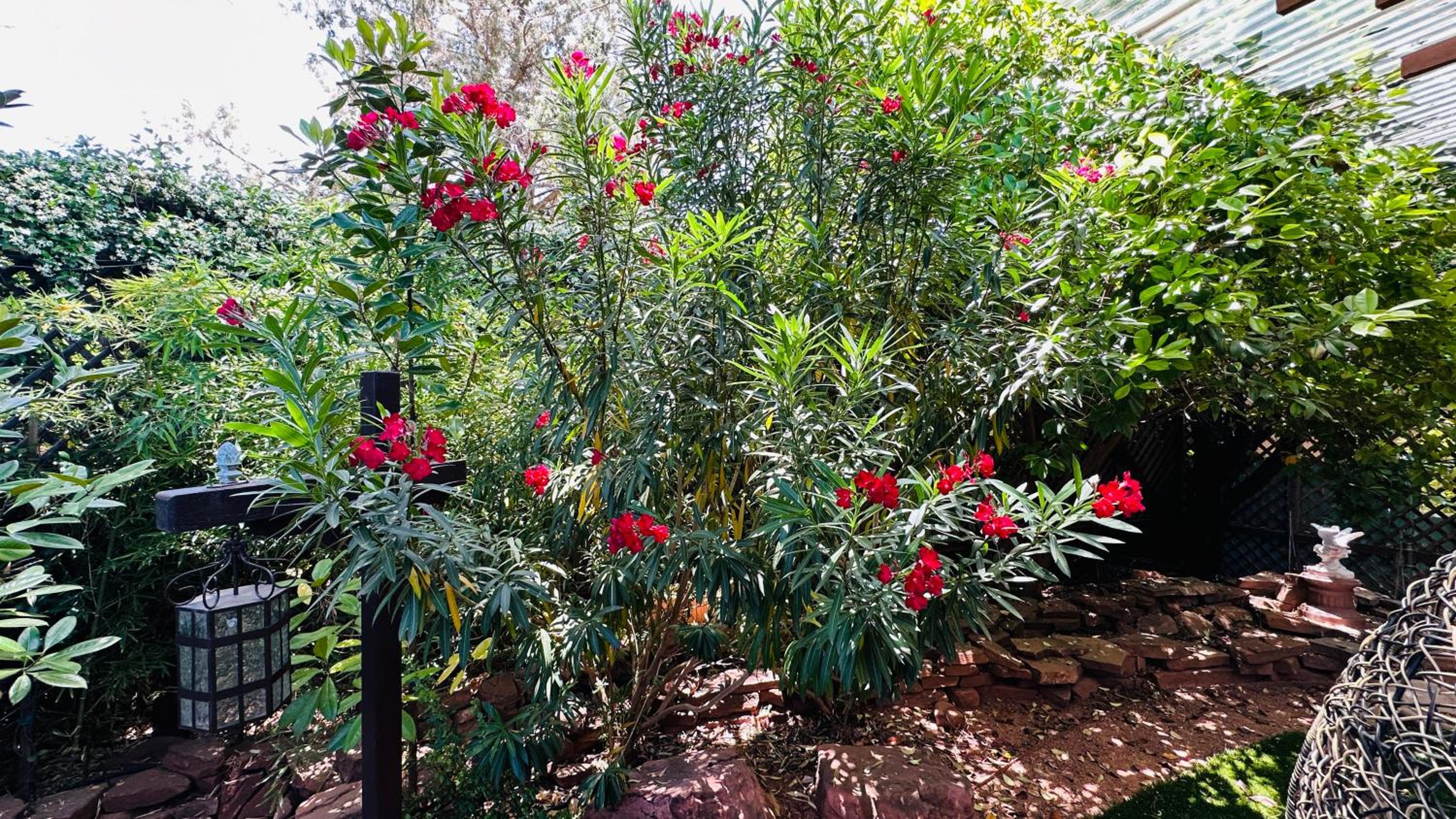 Sedona Vacations - Lantern Light Inn - Romantic Getaway - Property Image 12