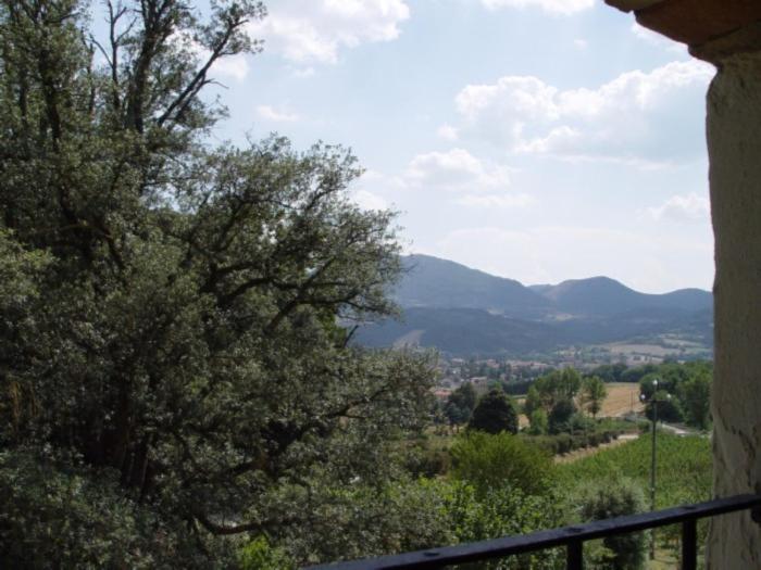 Agriturismo Le Vigne di Pace