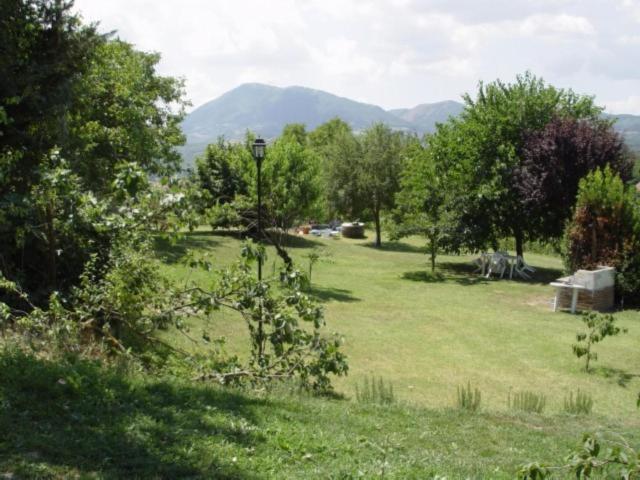 Agriturismo Le Vigne di Pace