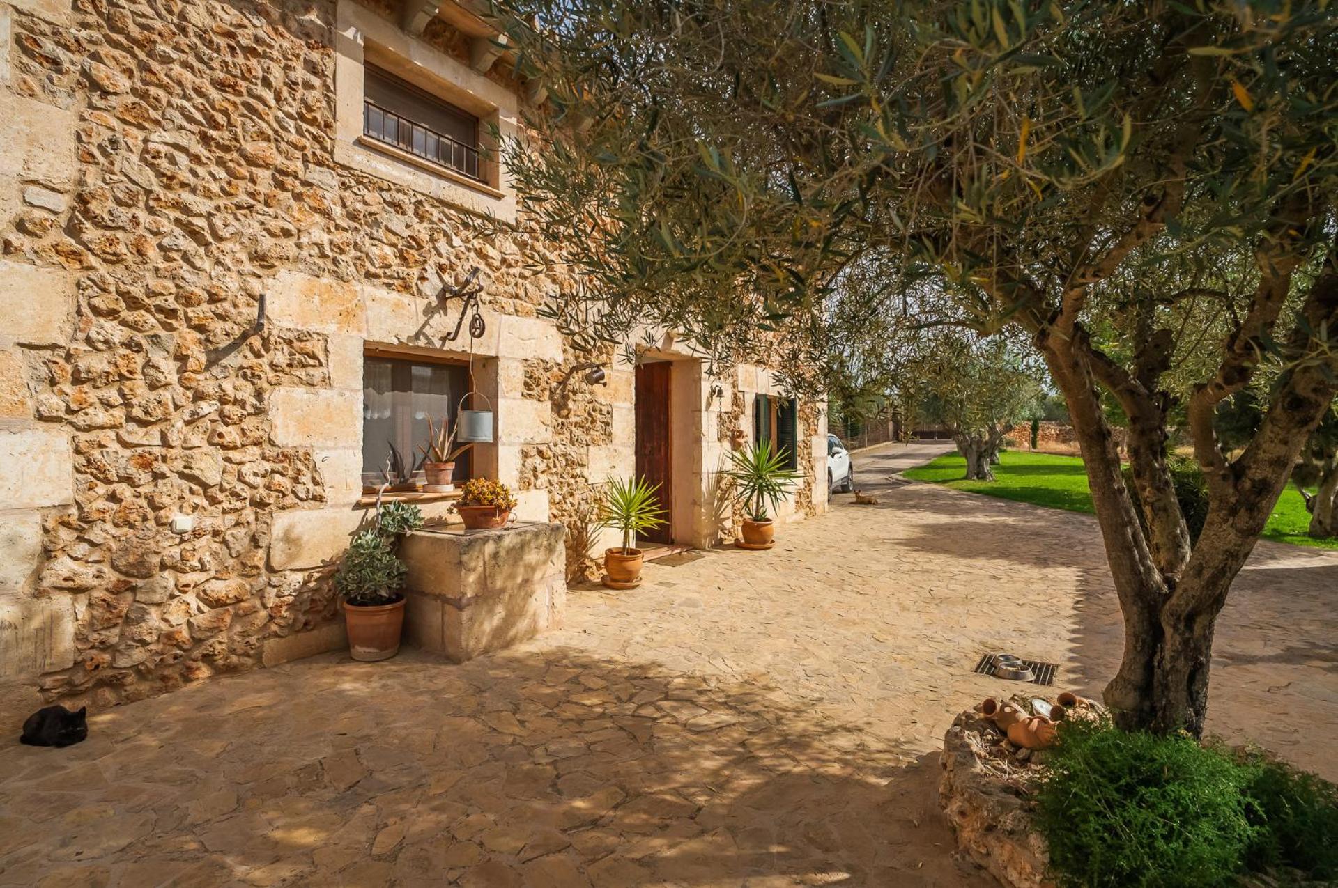 Santa Margalida Vacations - Ideal Property Mallorca - Sa Rota - Property Image 11