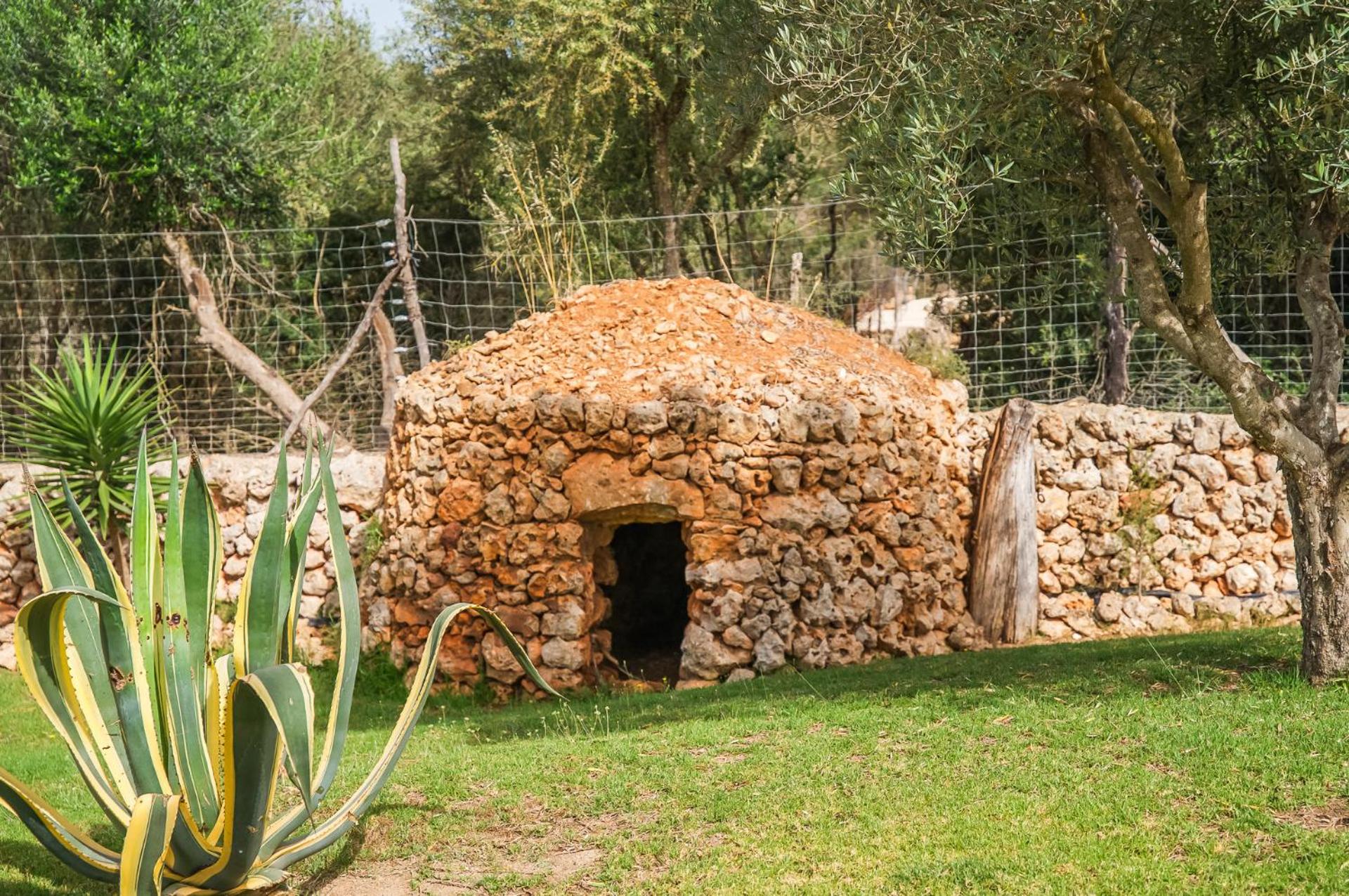 Santa Margalida Vacations - Ideal Property Mallorca - Sa Rota - Property Image 12