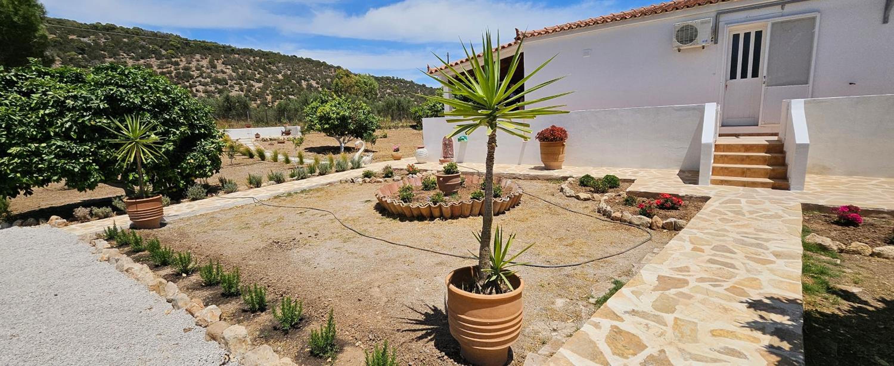 Villa Hibiscus