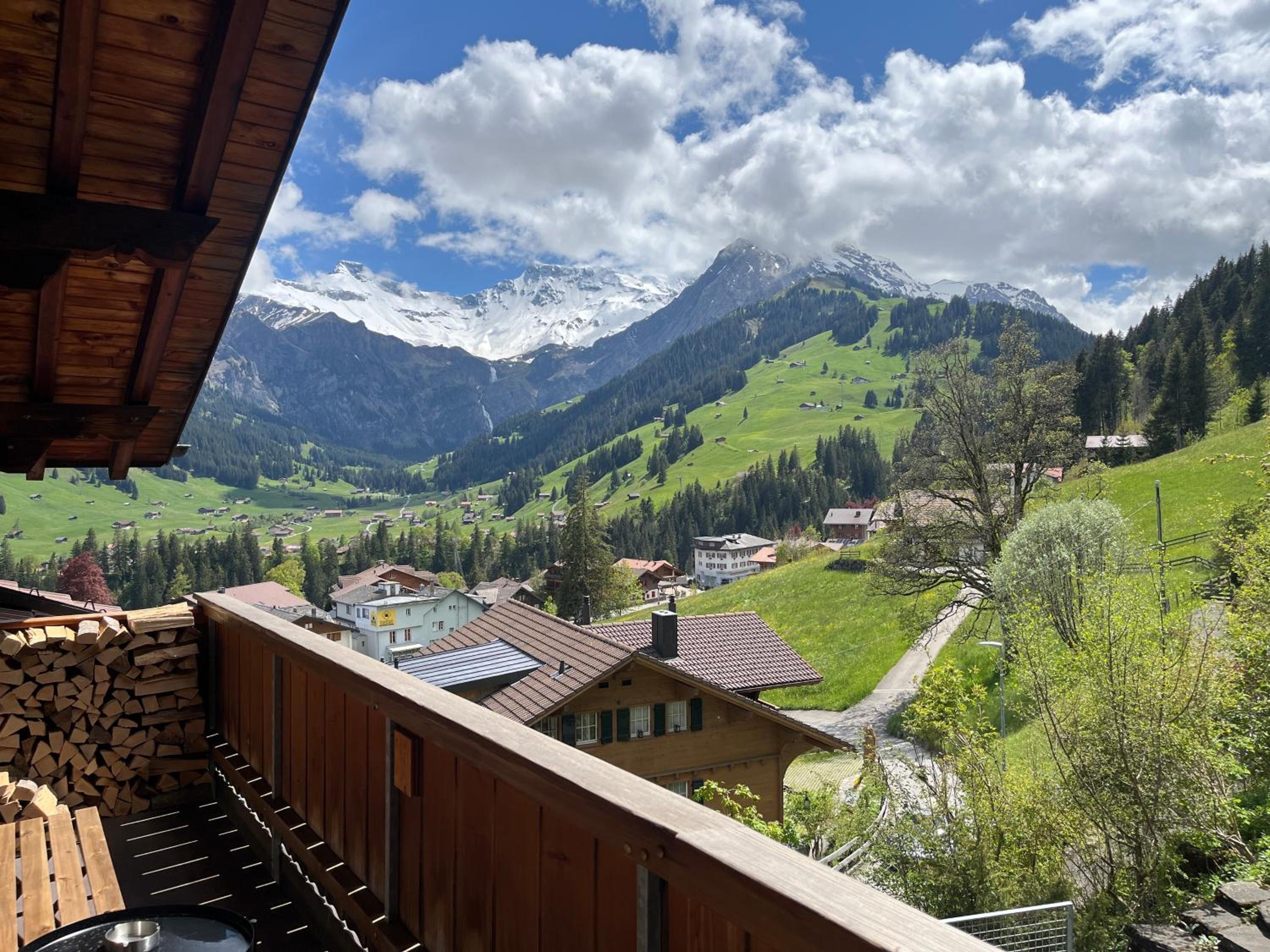 zentrale, gemütliche Wohnung im Schweizer Stil I Bergblick