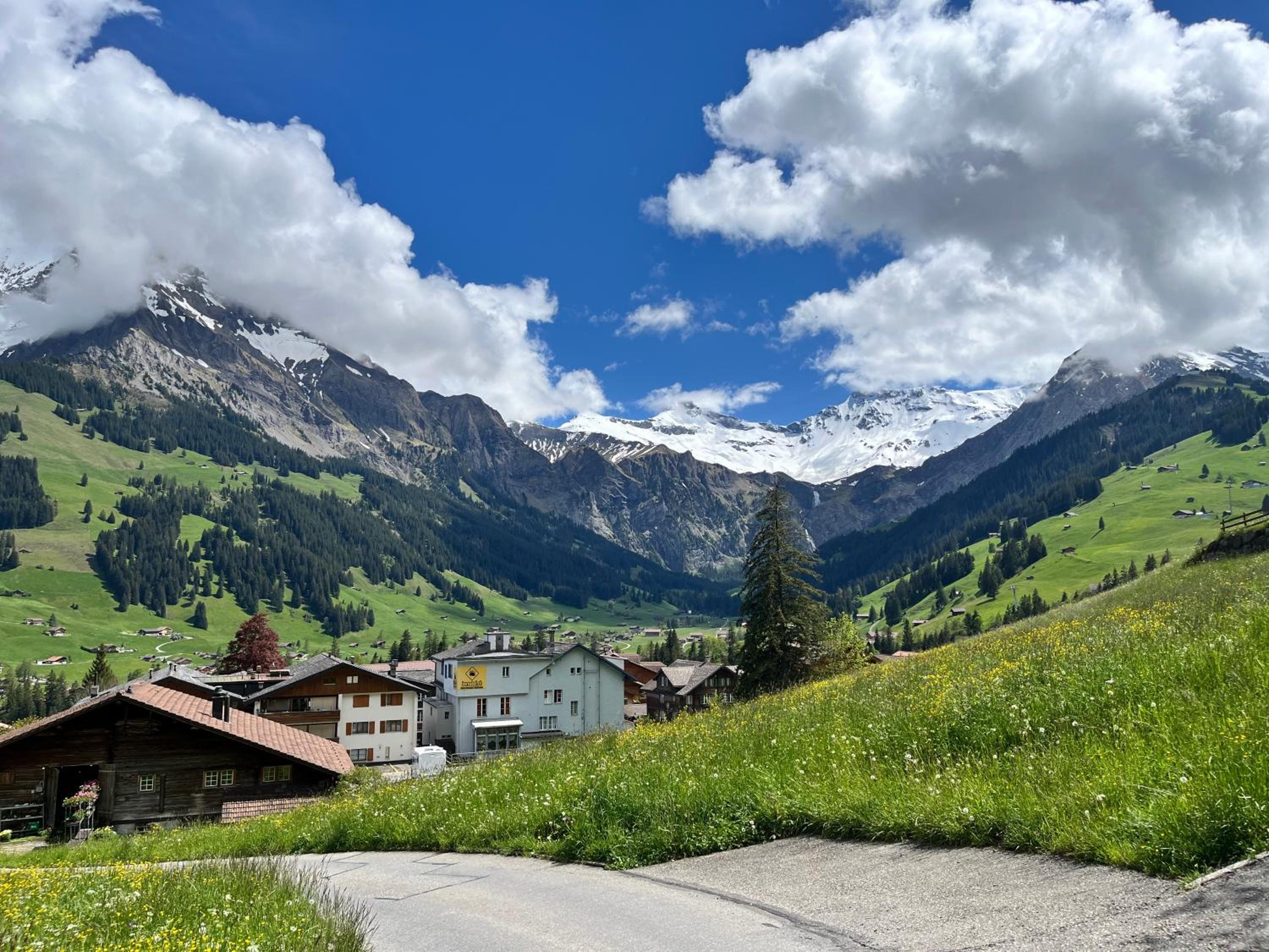 zentrale, gemütliche Wohnung im Schweizer Stil I Bergblick