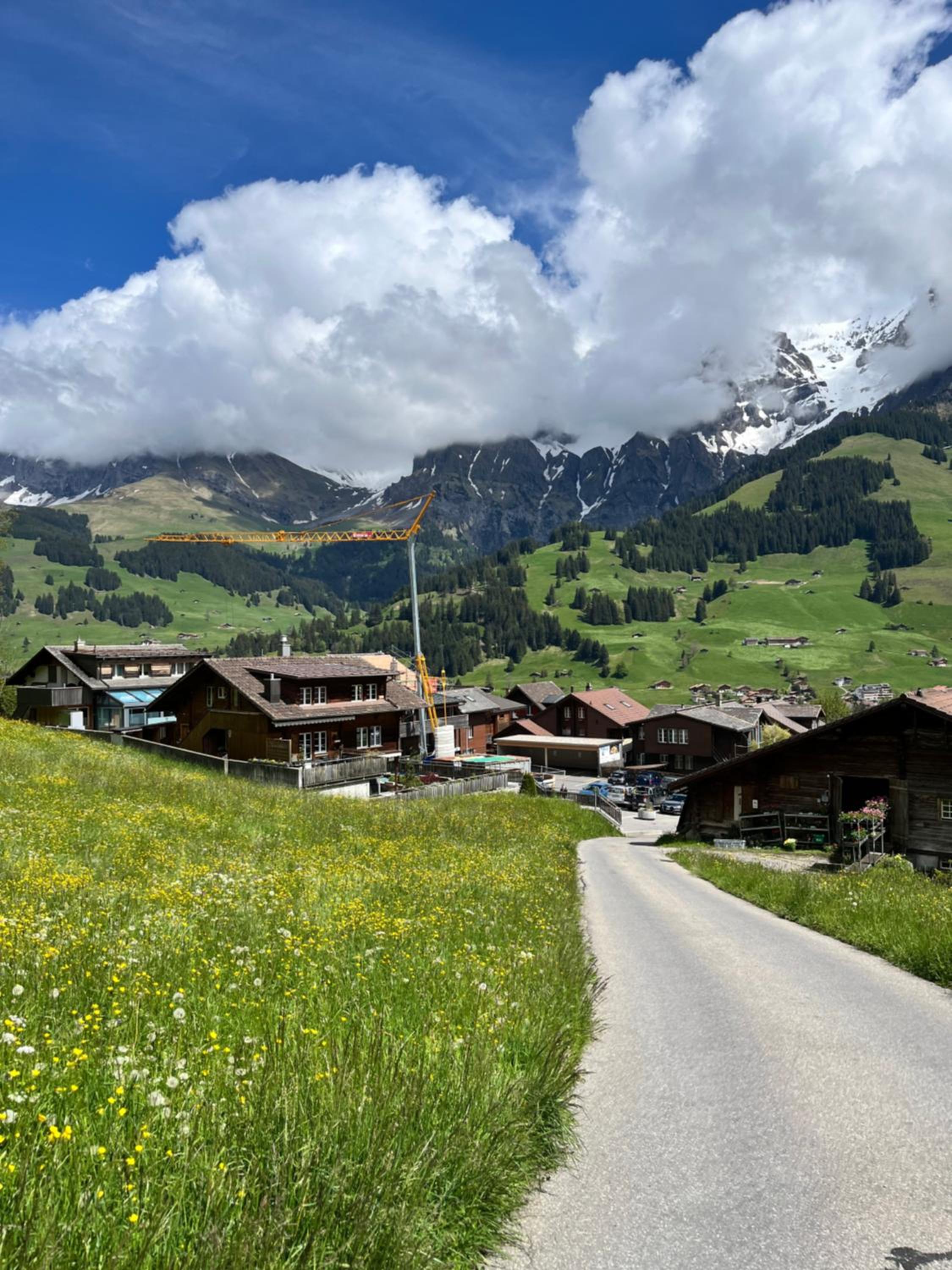 zentrale, gemütliche Wohnung im Schweizer Stil I Bergblick