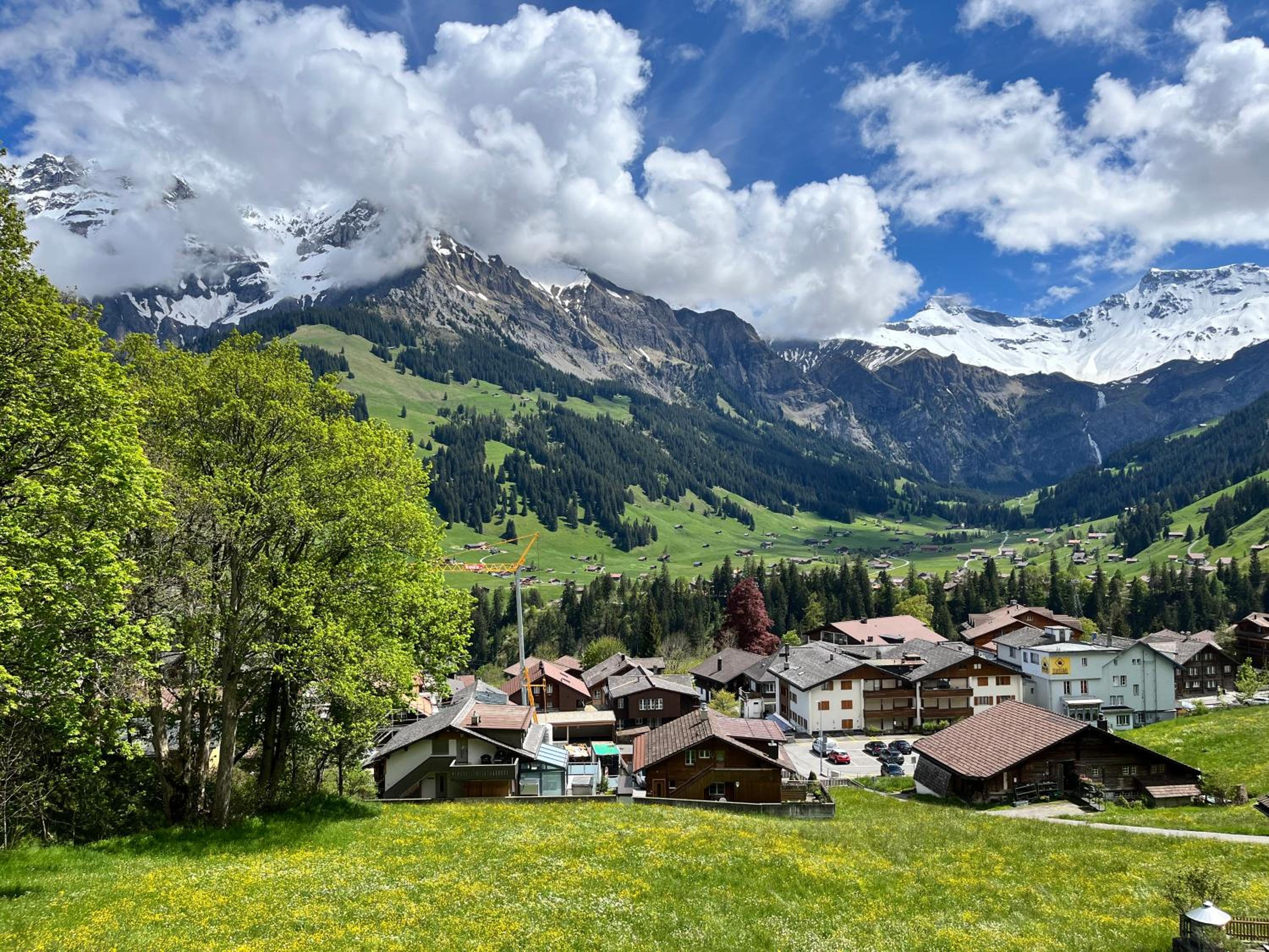 zentrale, gemütliche Wohnung im Schweizer Stil I Bergblick
