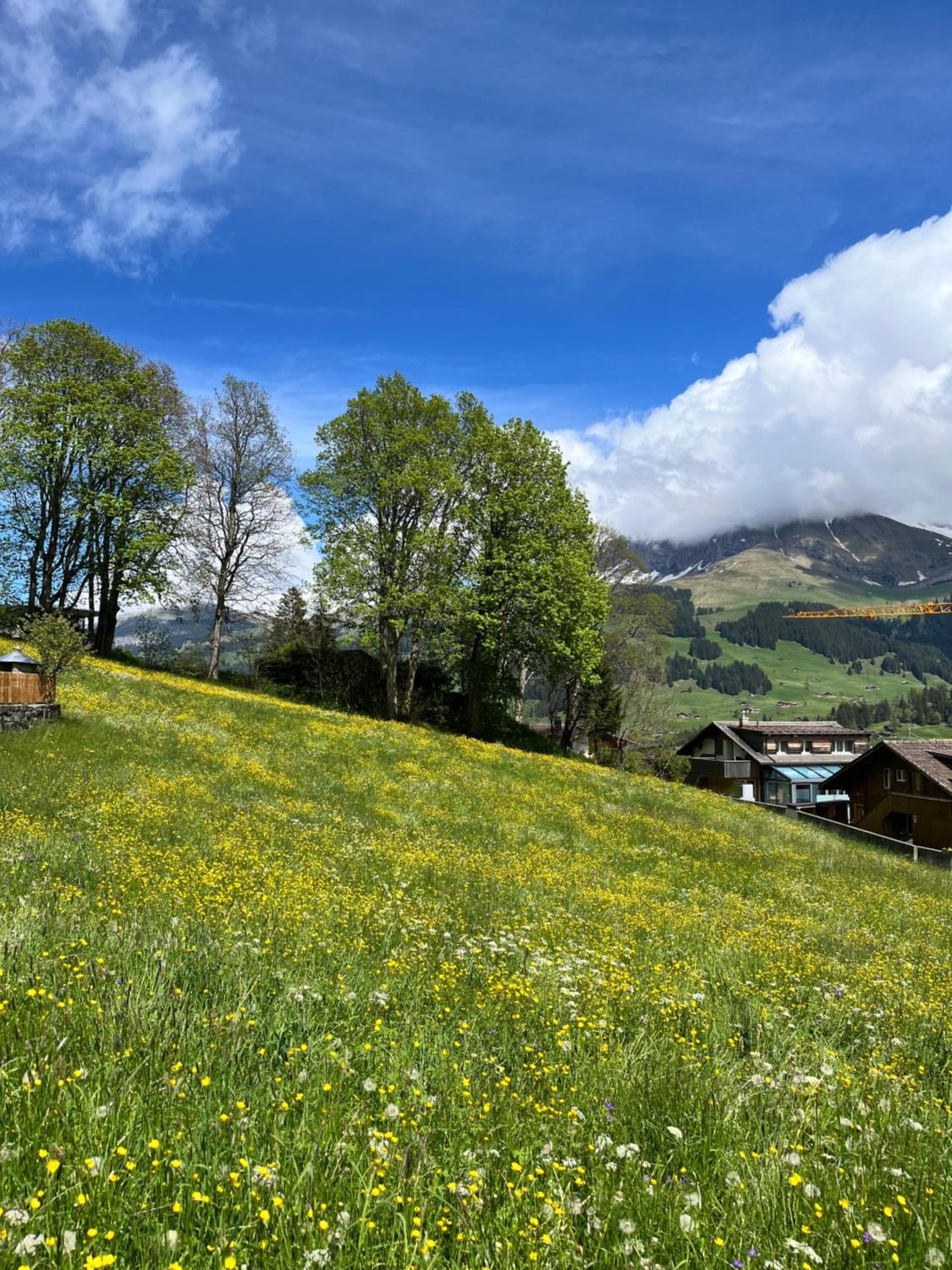 zentrale, gemütliche Wohnung im Schweizer Stil I Bergblick