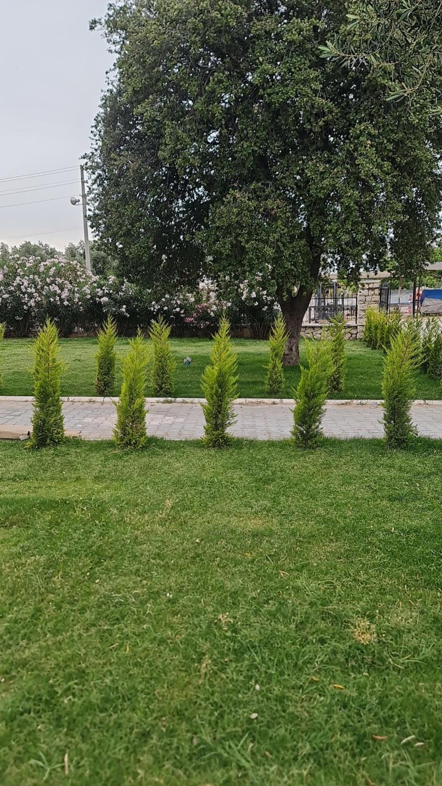 Photo 33