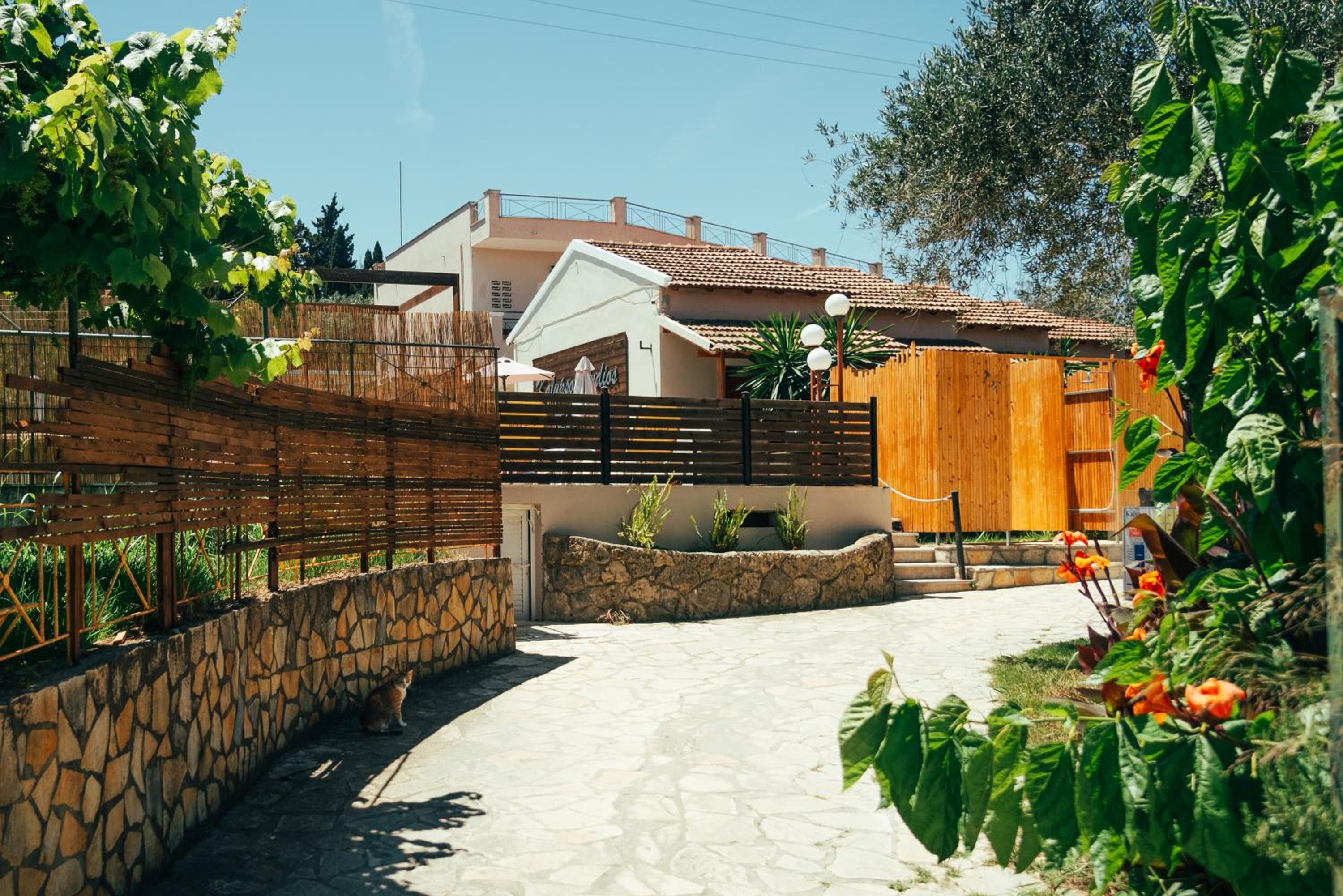 Calypso Resort Kavos photo 5