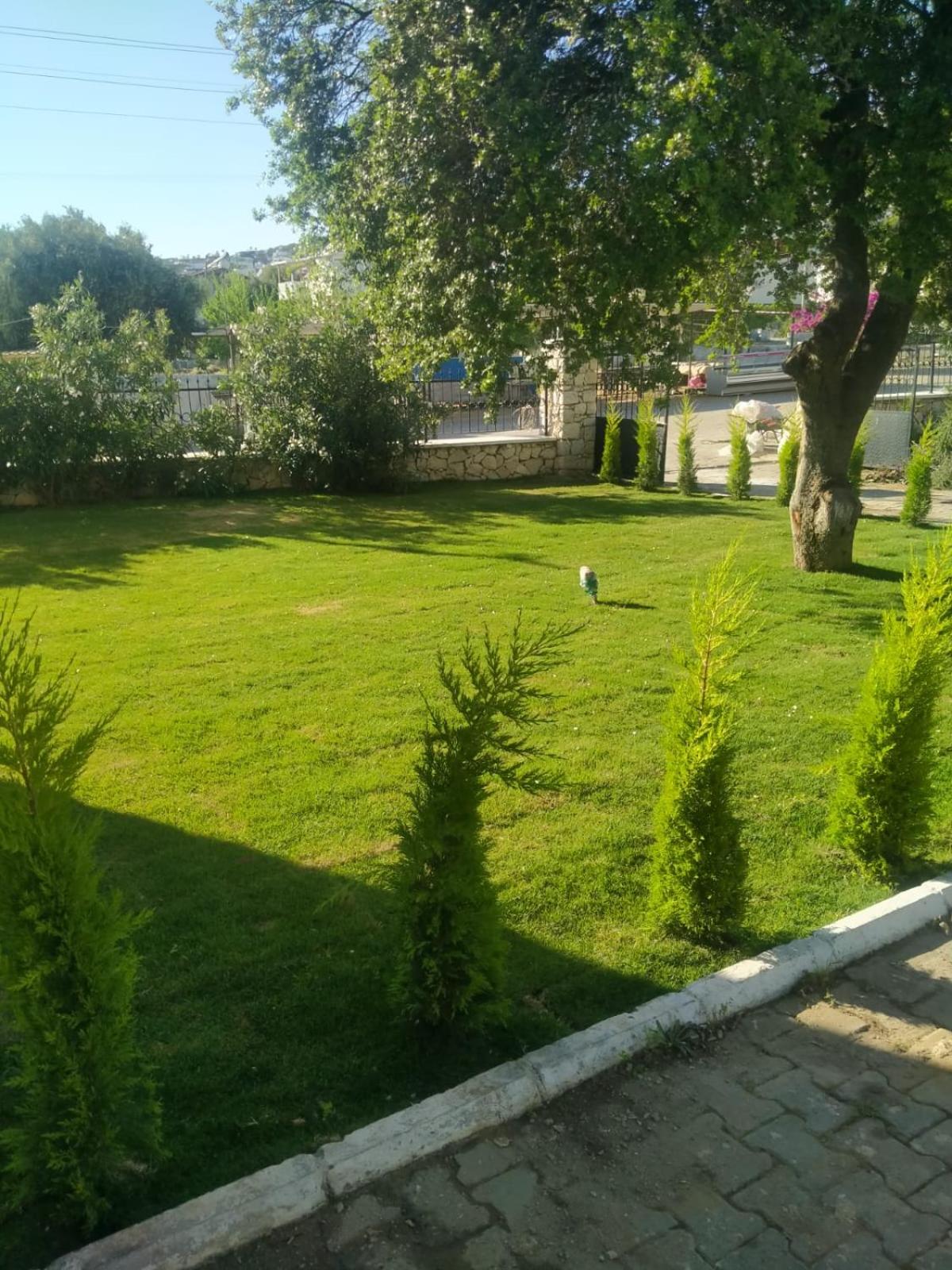 Photo 48