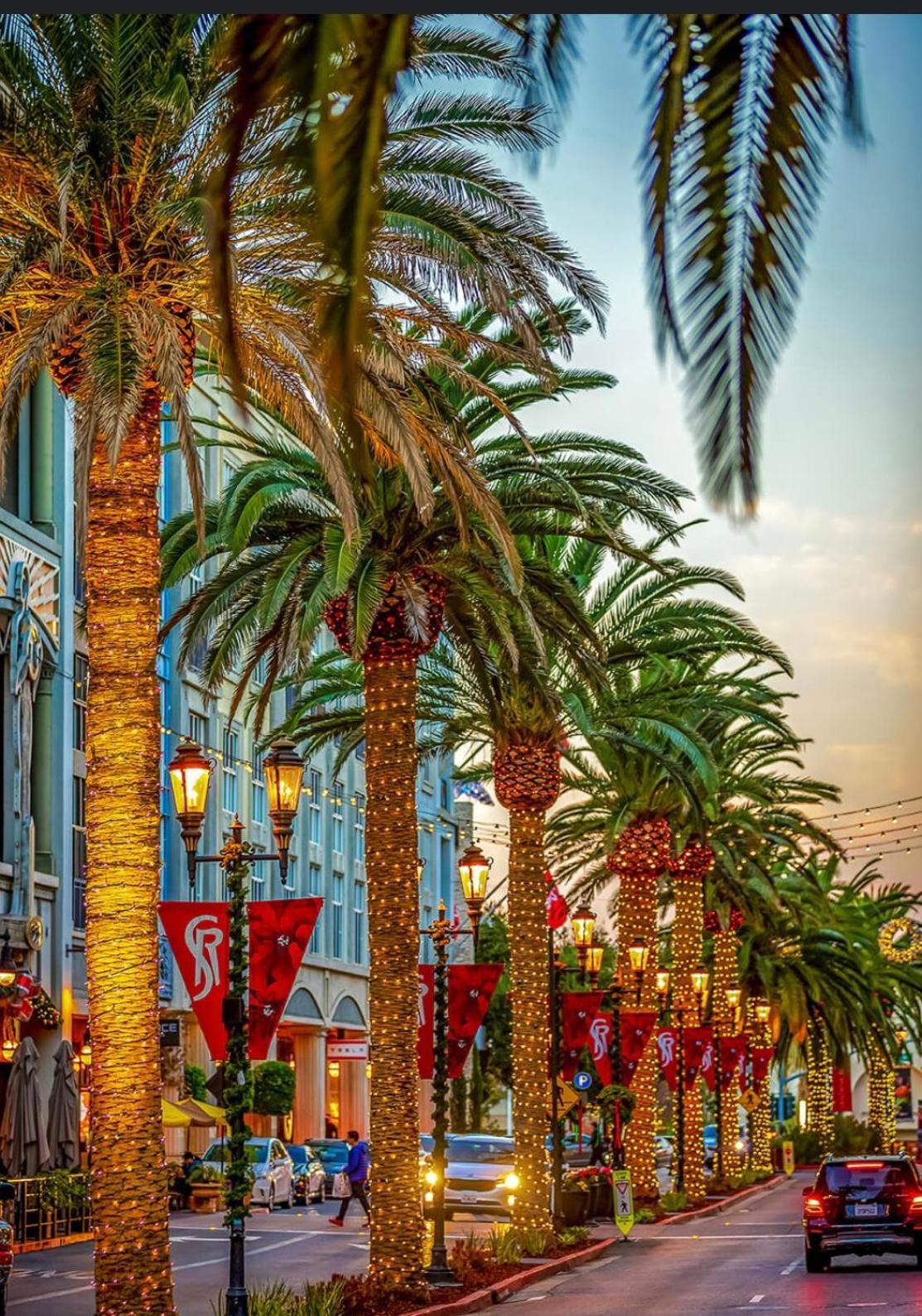 Luxurious Apartment 5 min to the Santana Row With Free Parking view 3