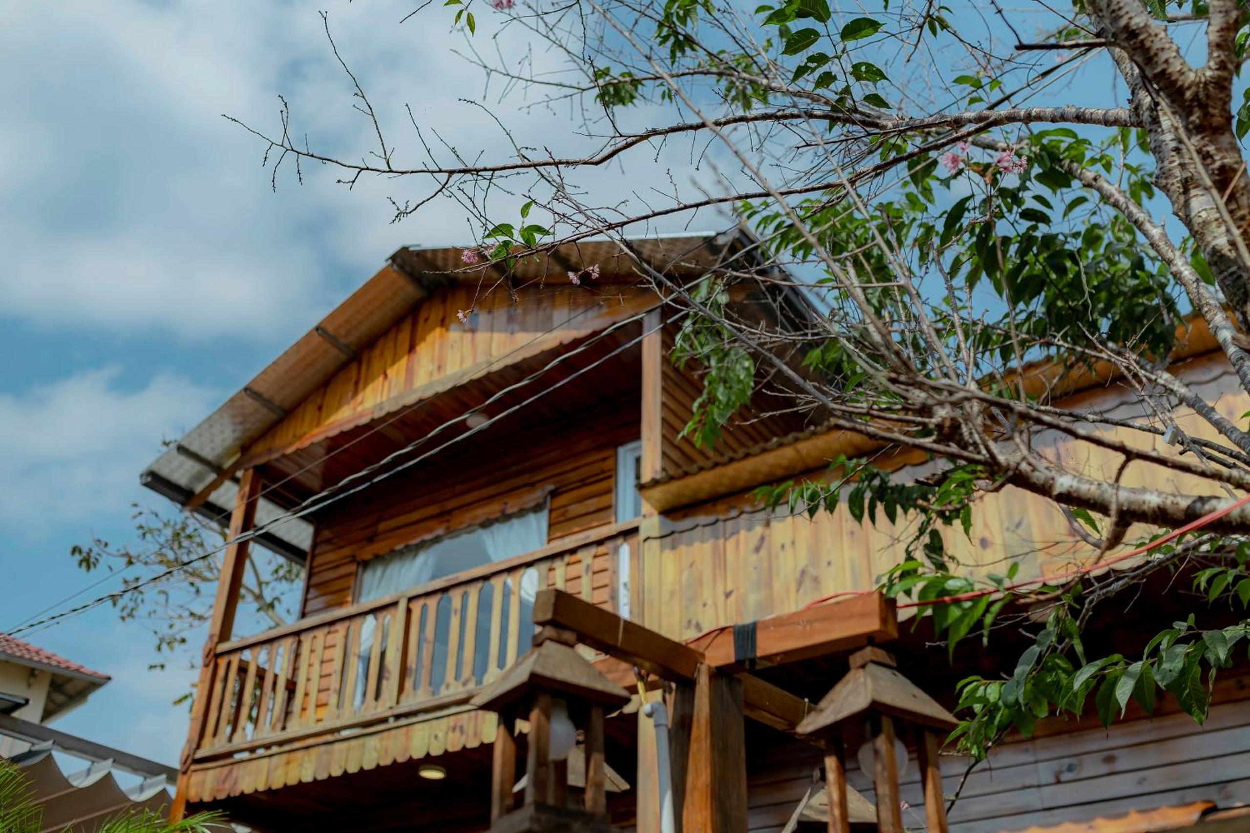 Nhà Gấu Homestay Đà Lạt view 5