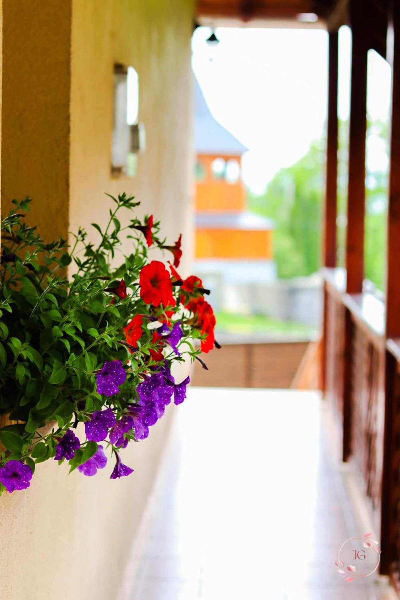 Bíró-udvar vendégház