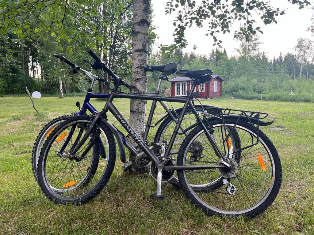 Salu summer cottage