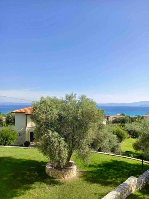 Stylish Pool Villa Konstantinidis Complex