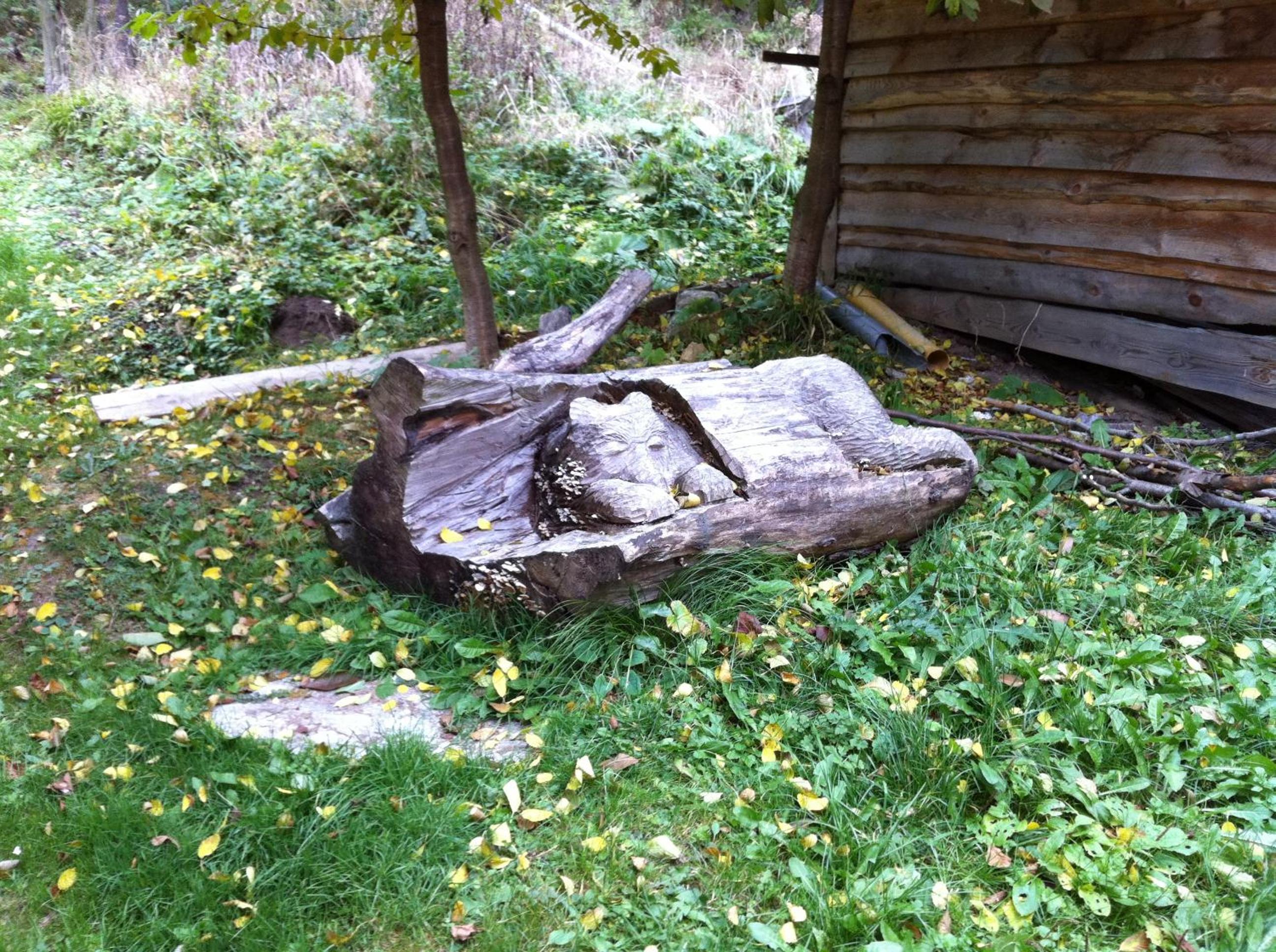 Photo 27