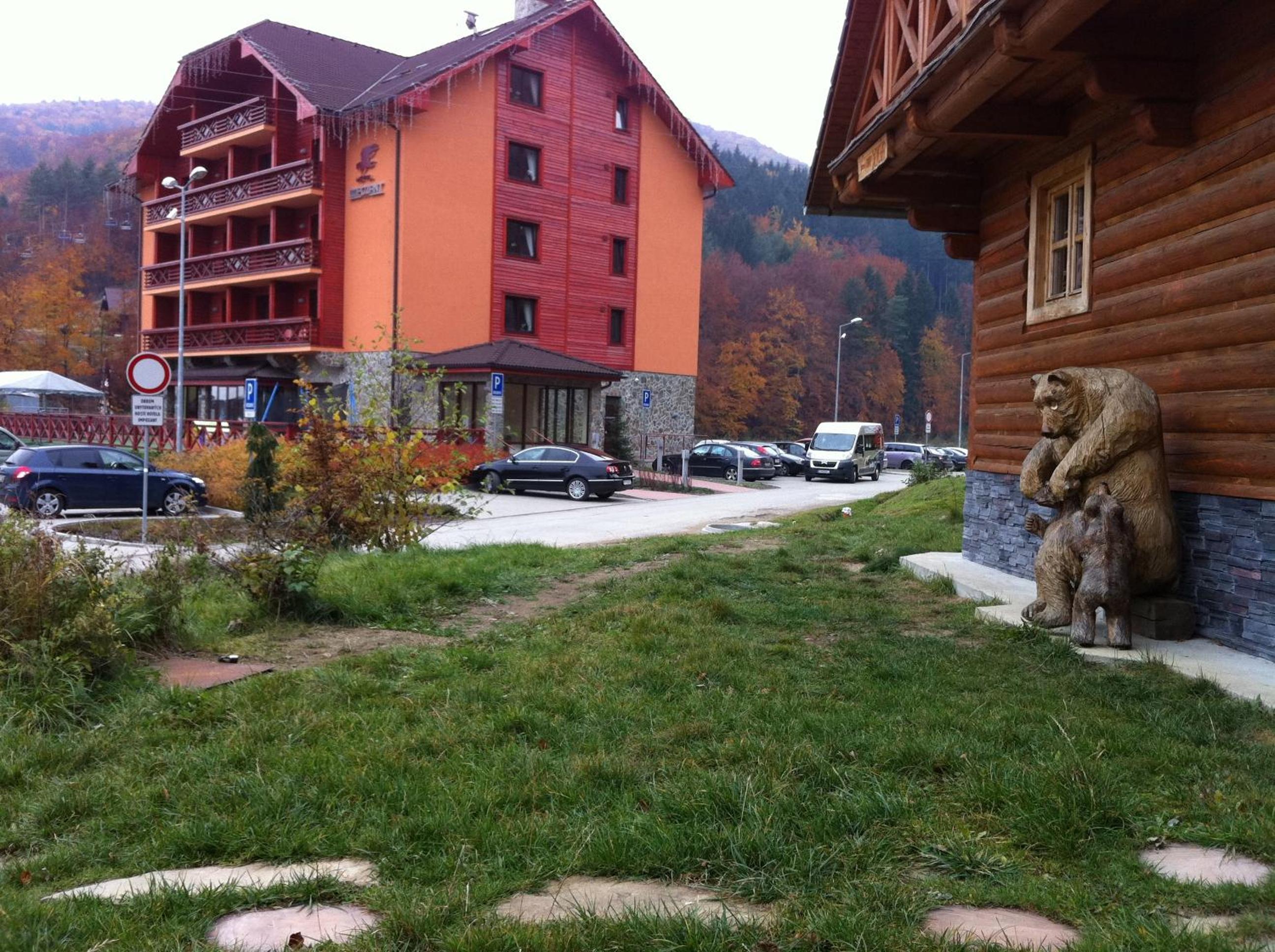 Photo 31
