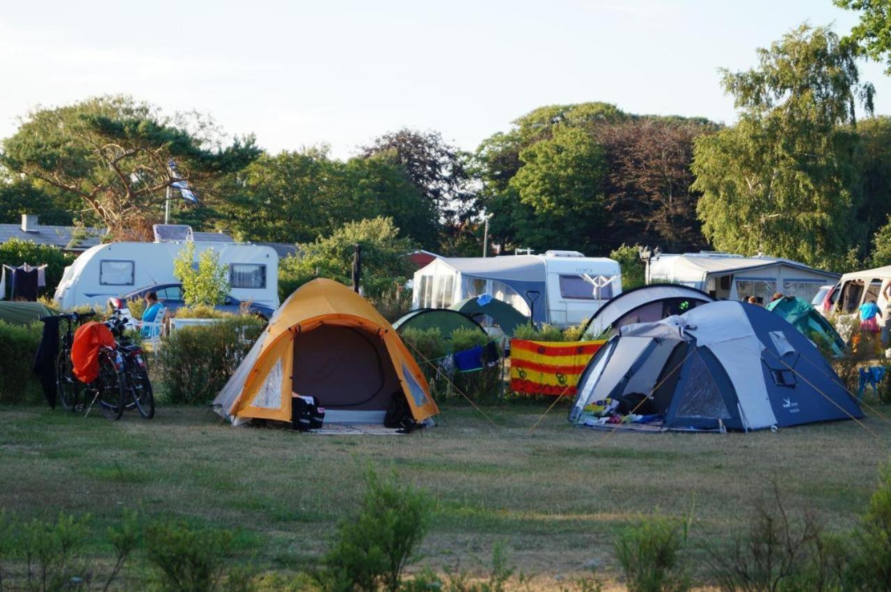 Hasle Camping (Empty Lots) view 4