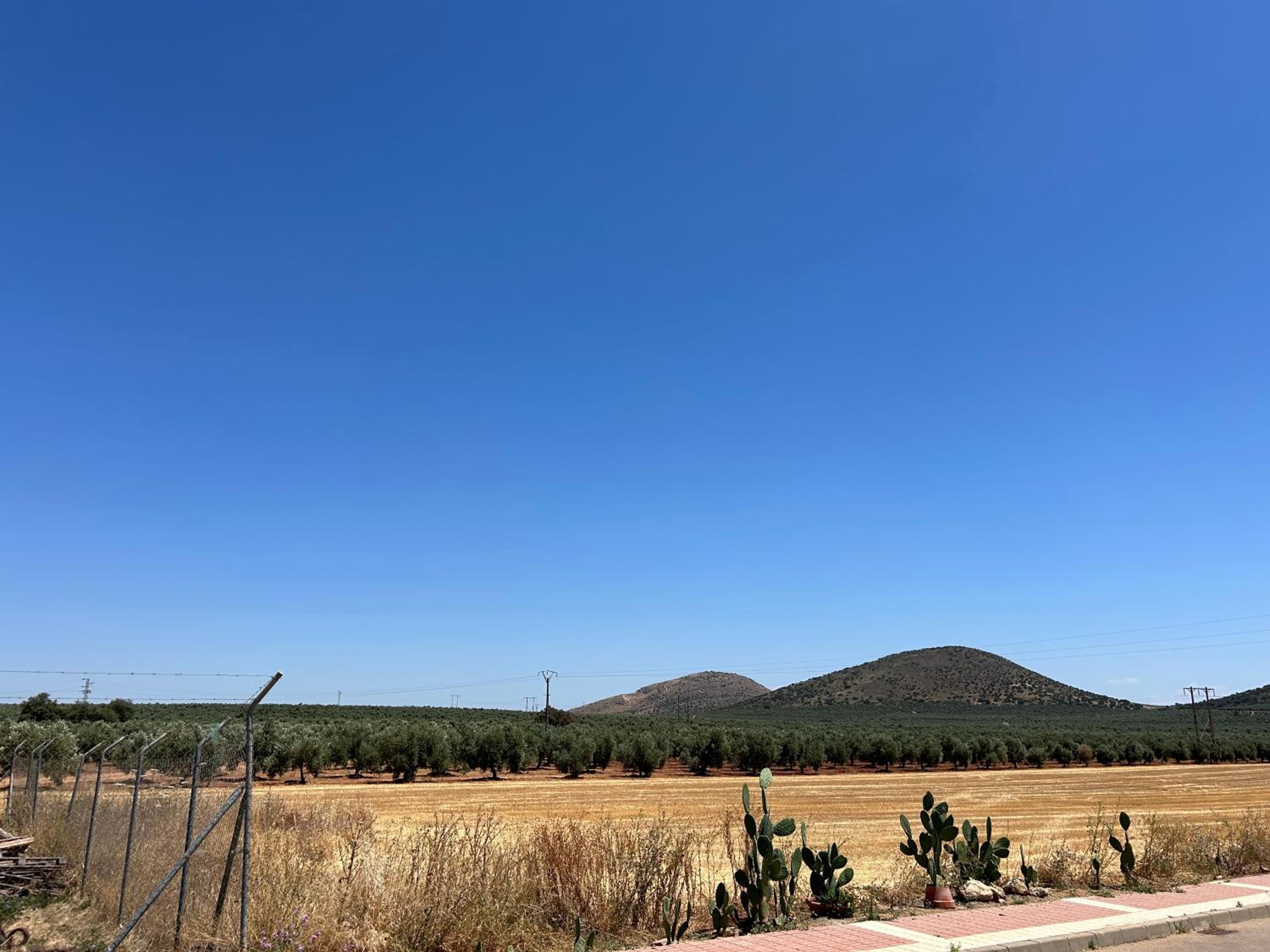 La Casita de Blanca