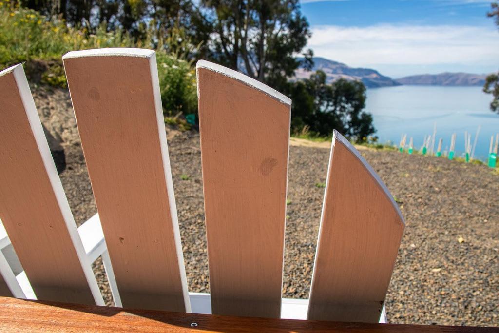 Kūkupa Puni at Akaroa Lavender by Tiny Away view 4