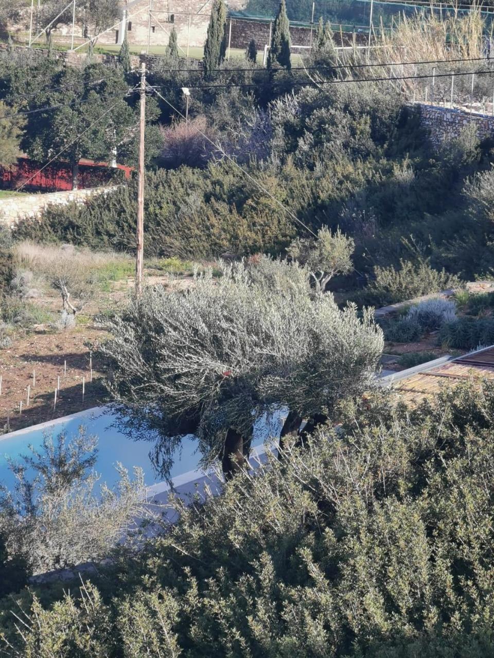 Olithos Villas
