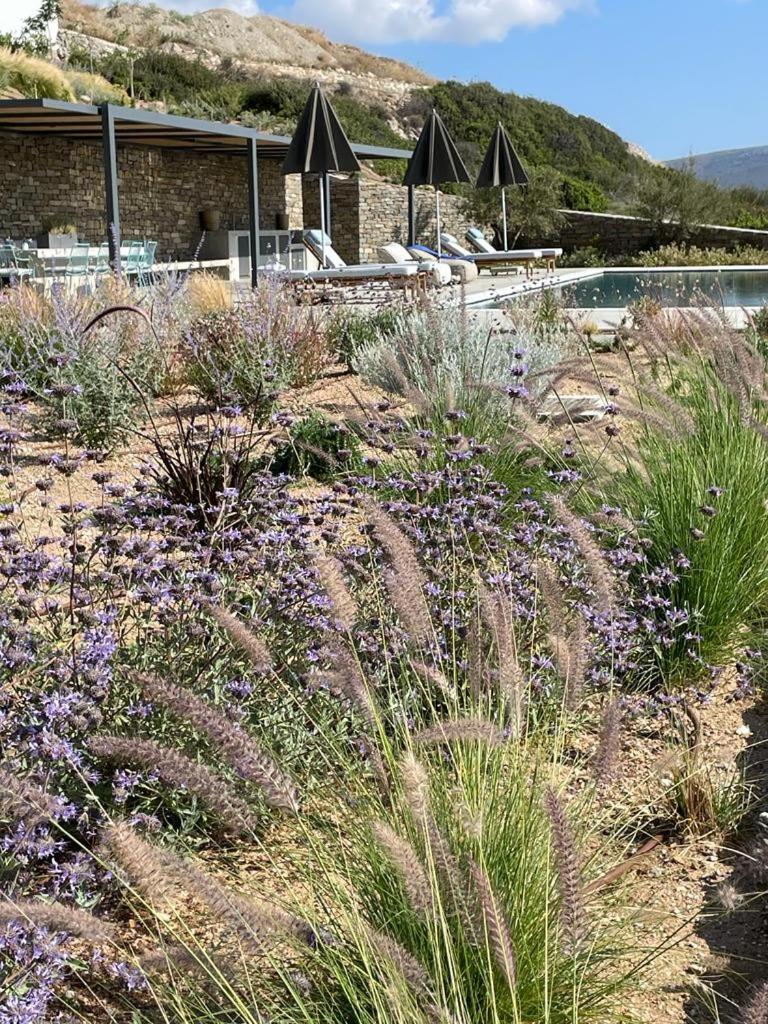 Olithos Villas