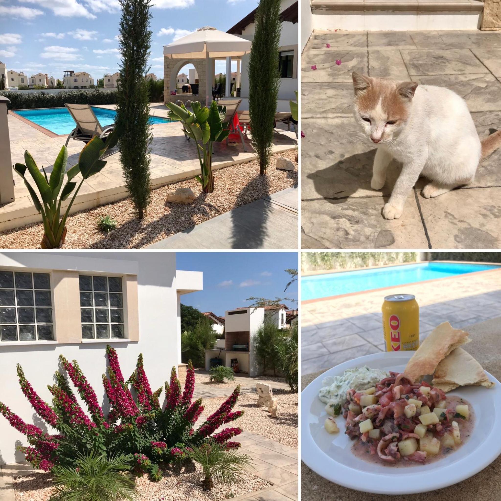 Potamos Villa - Villa Kymma 4