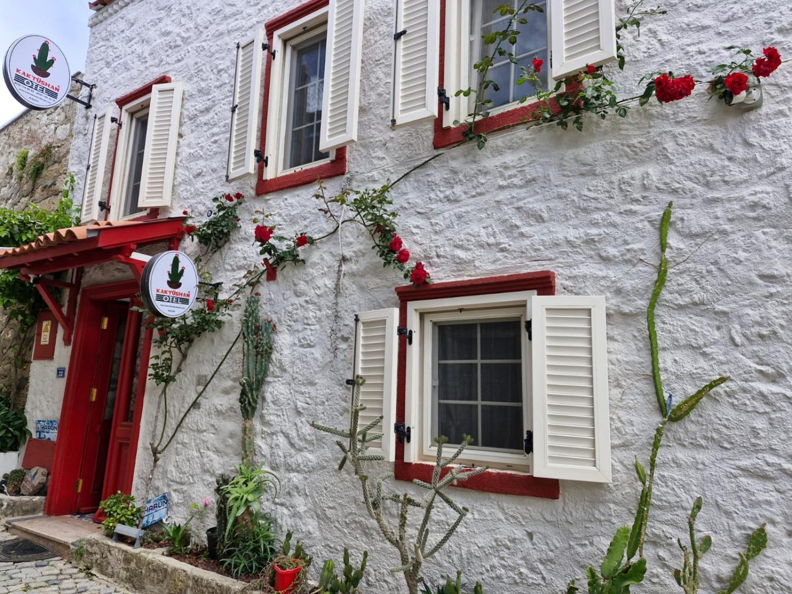 Hotel kaktüshan otel - Image 1