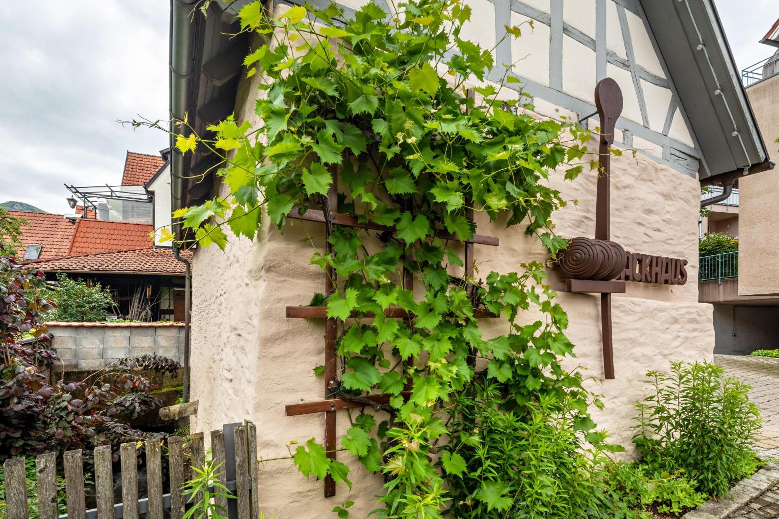 Am Backhaus