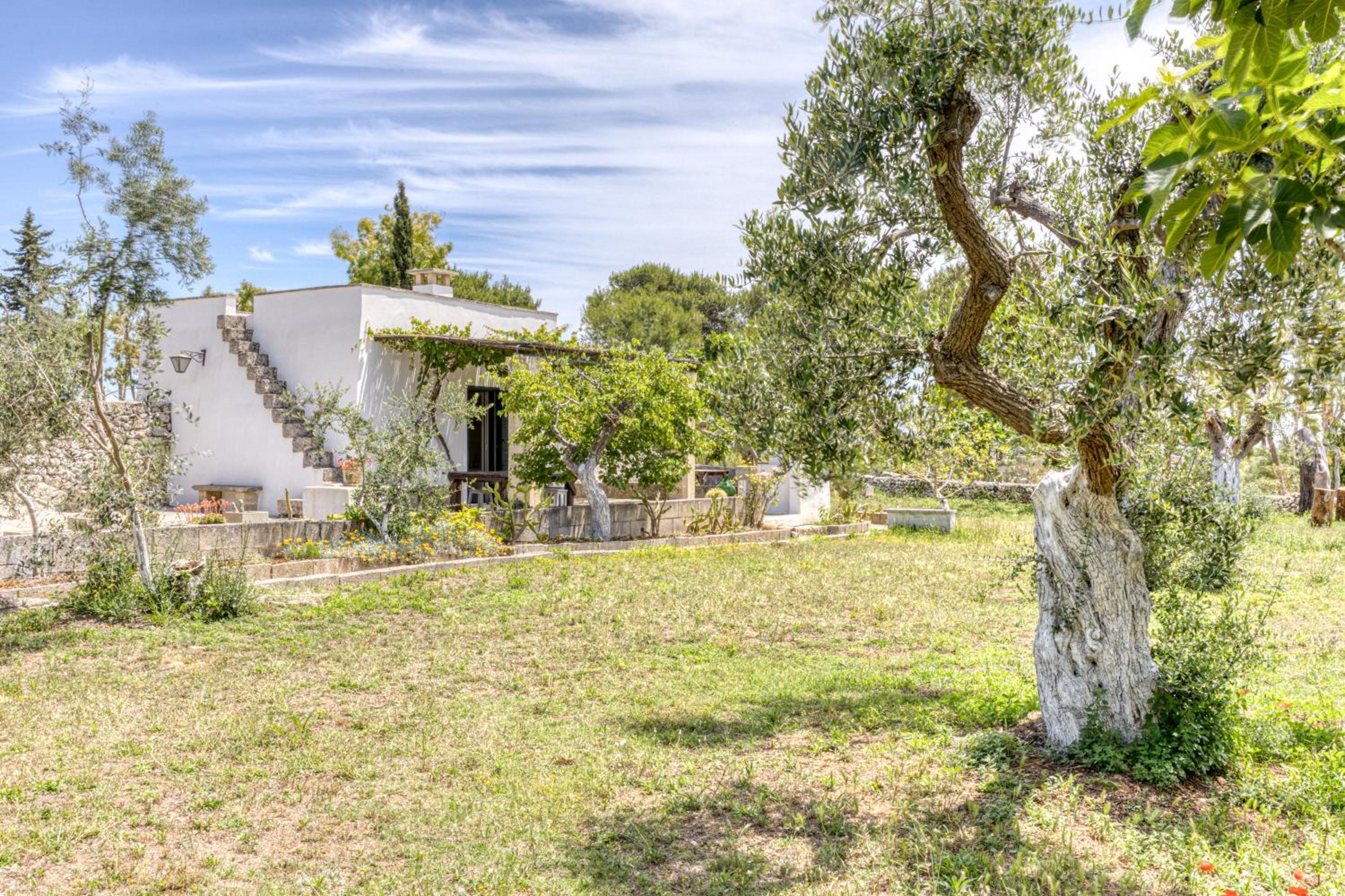 BioMasseria Santa Lucia