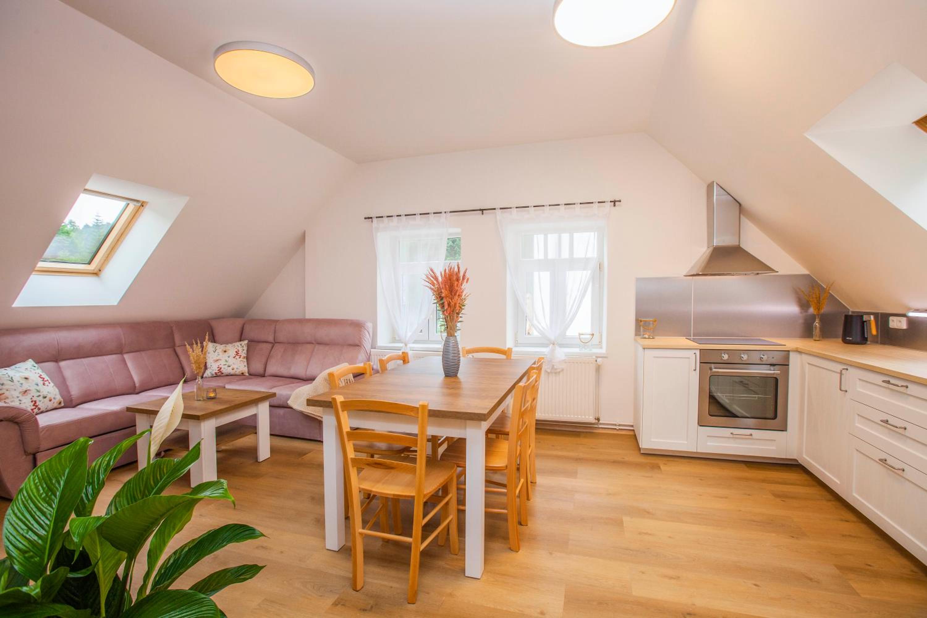 Apartmány Vilka Orlík