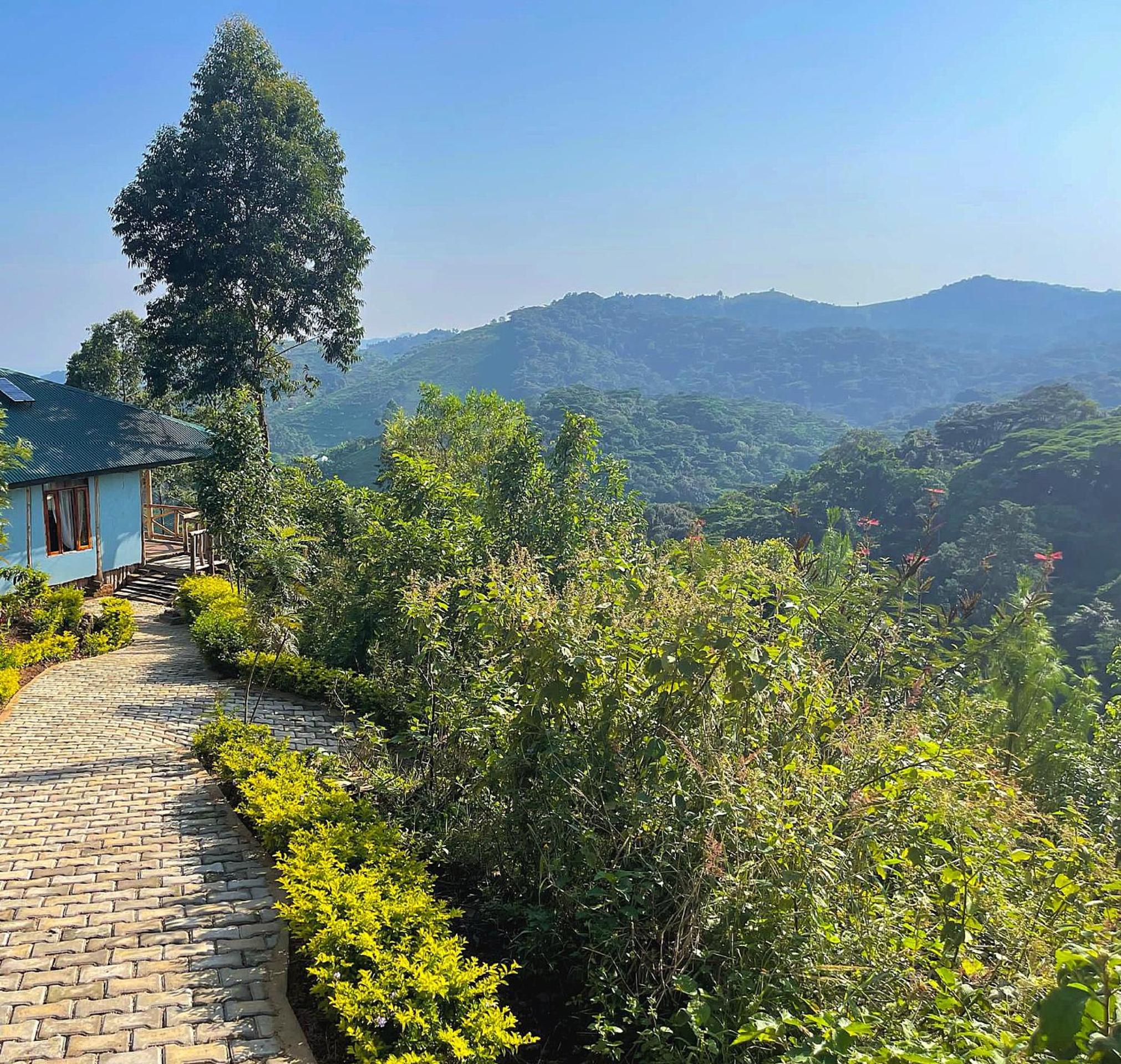 Bwindi Neckview Lodge