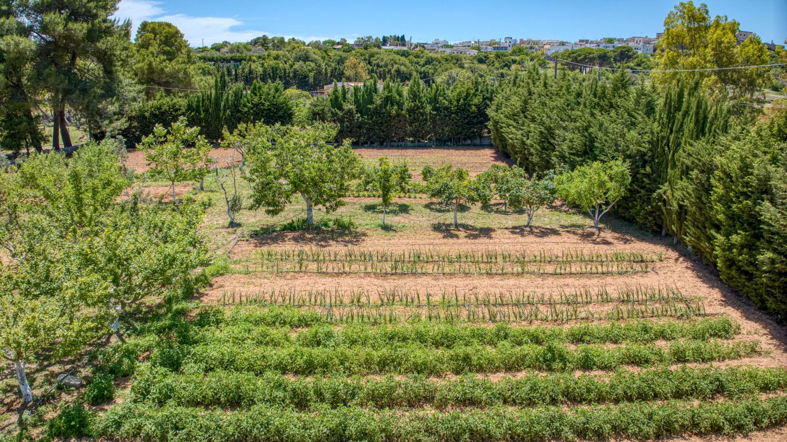 BioMasseria Santa Lucia
