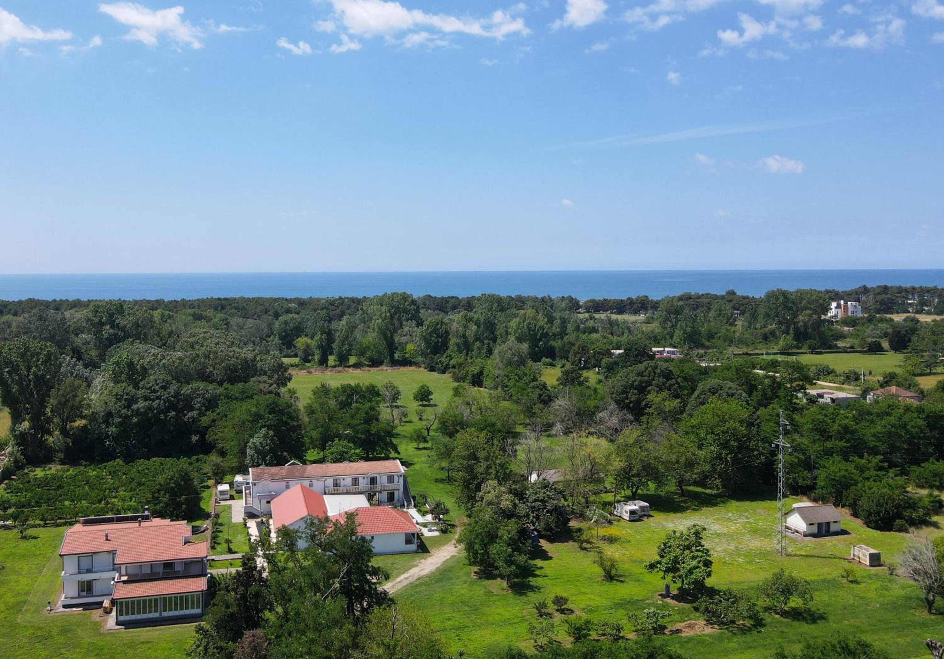 Tomi Guesthouse