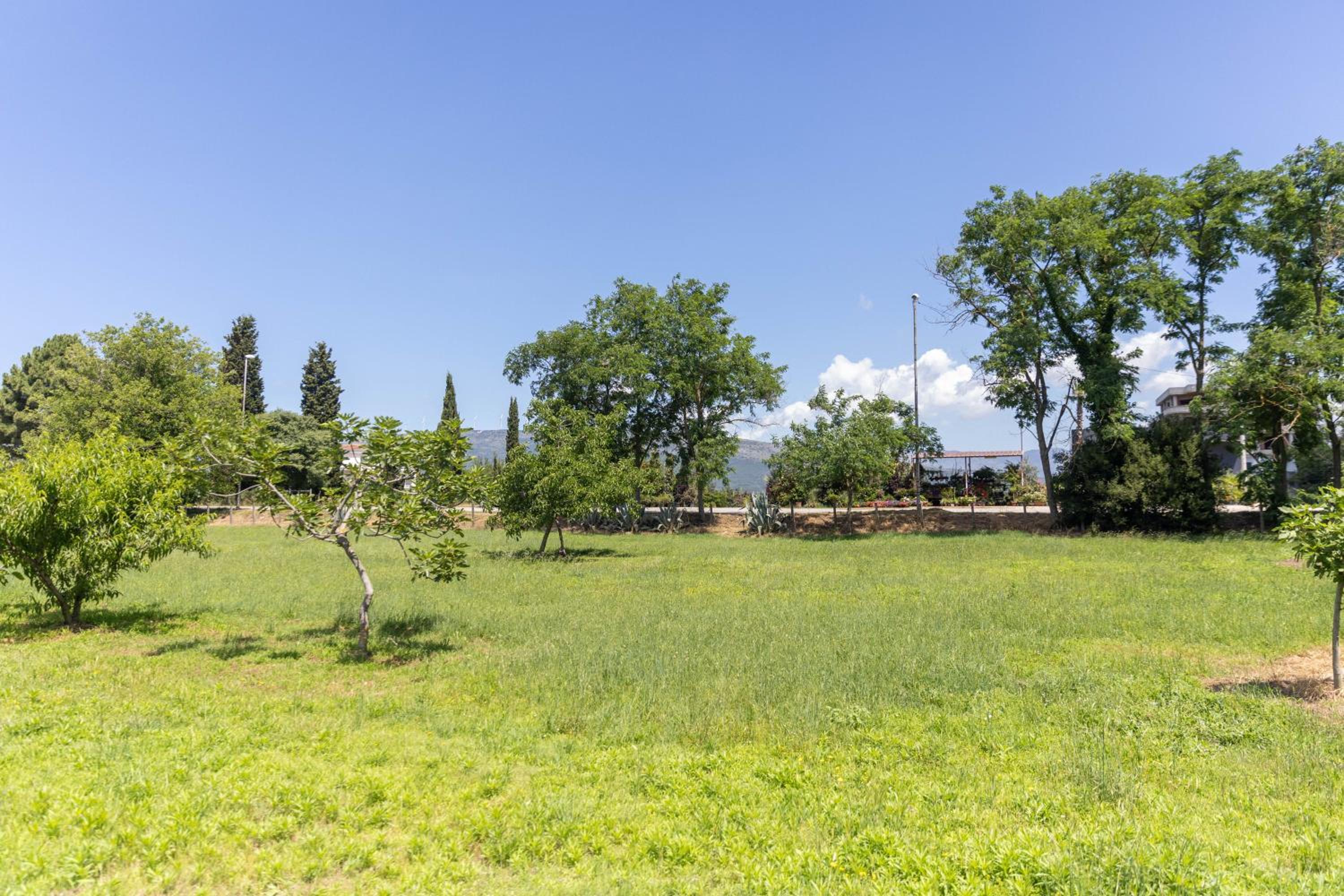 Tomi Guesthouse