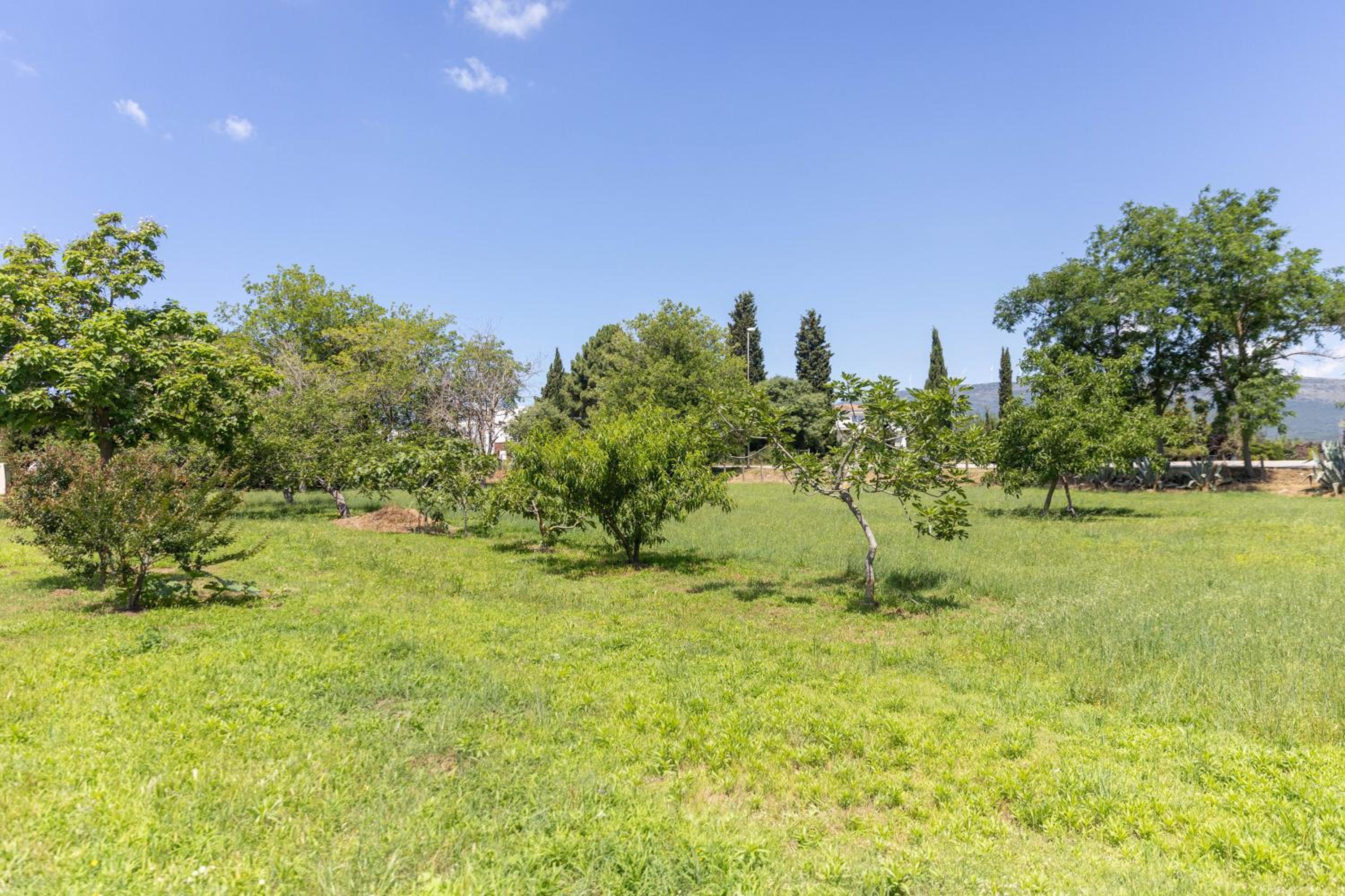 Tomi Guesthouse