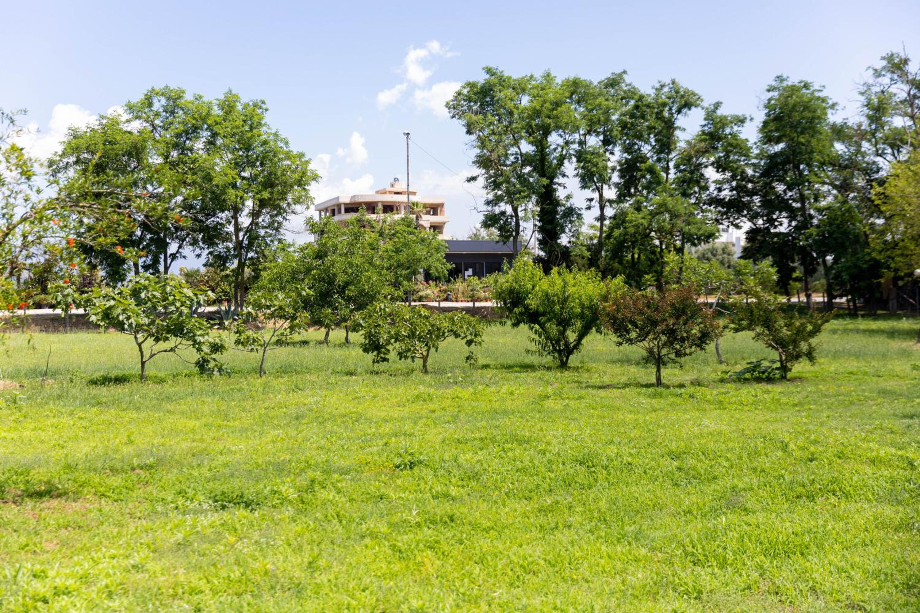 Tomi Guesthouse