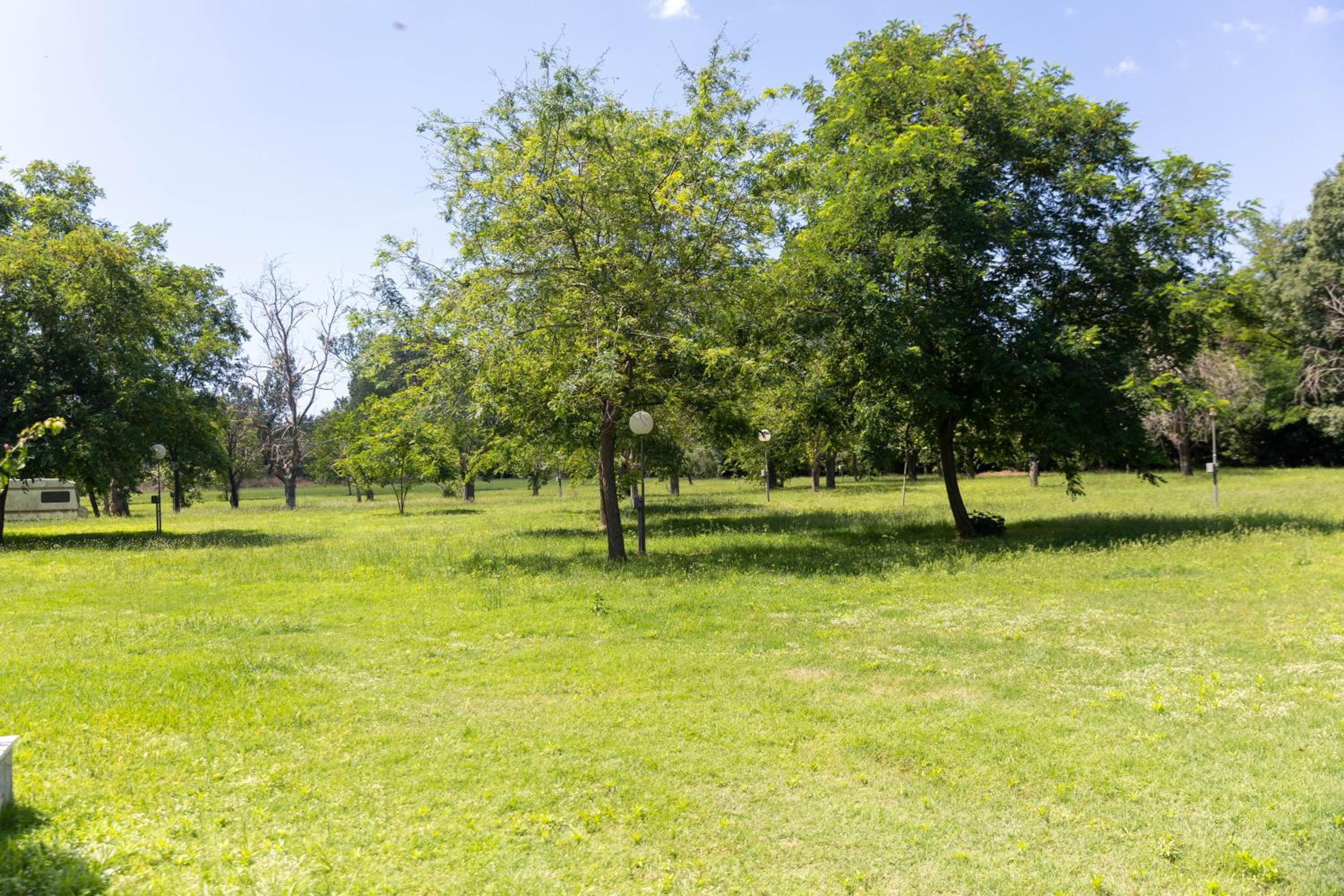Tomi Guesthouse